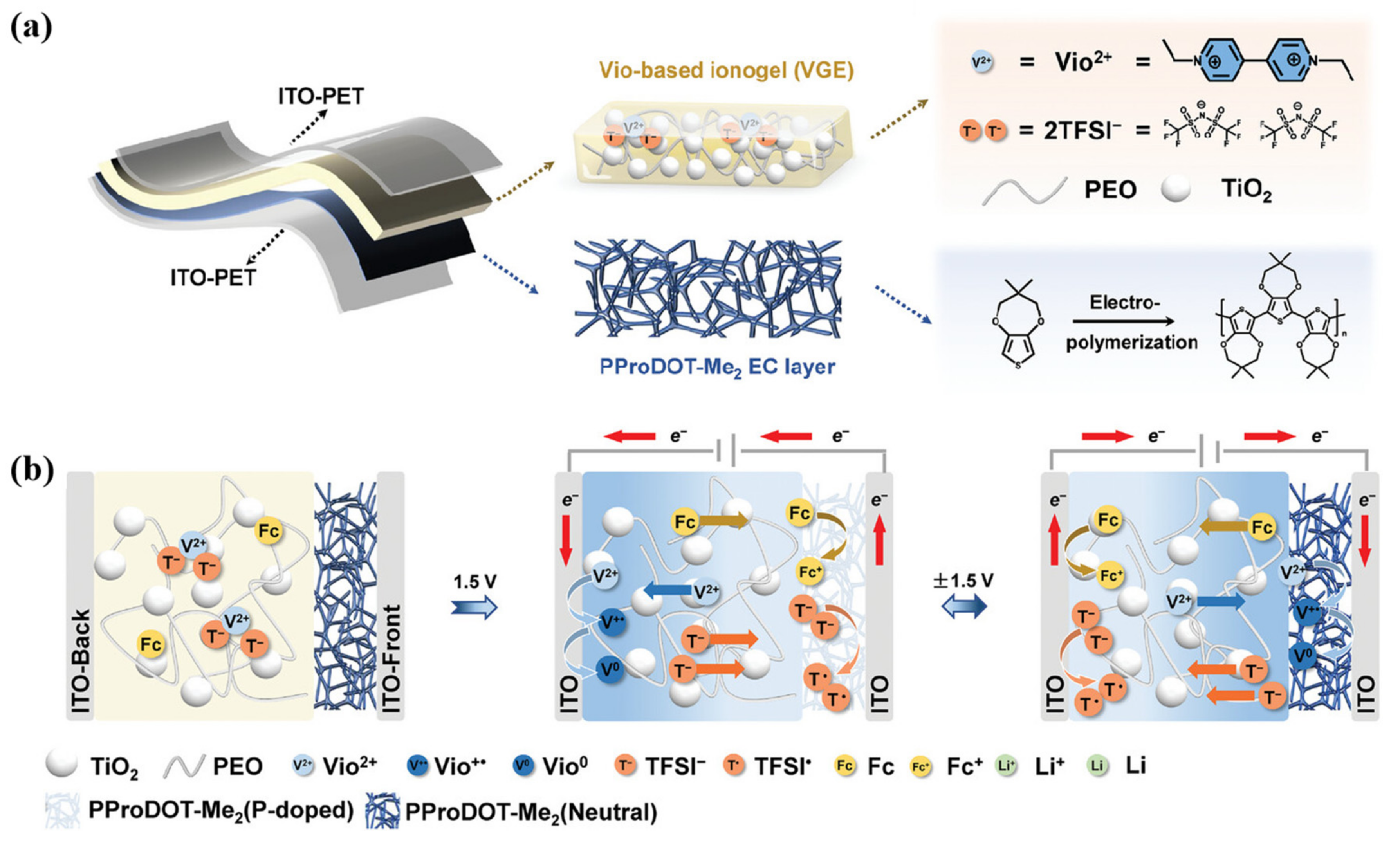 Molecules 30 00973 g023