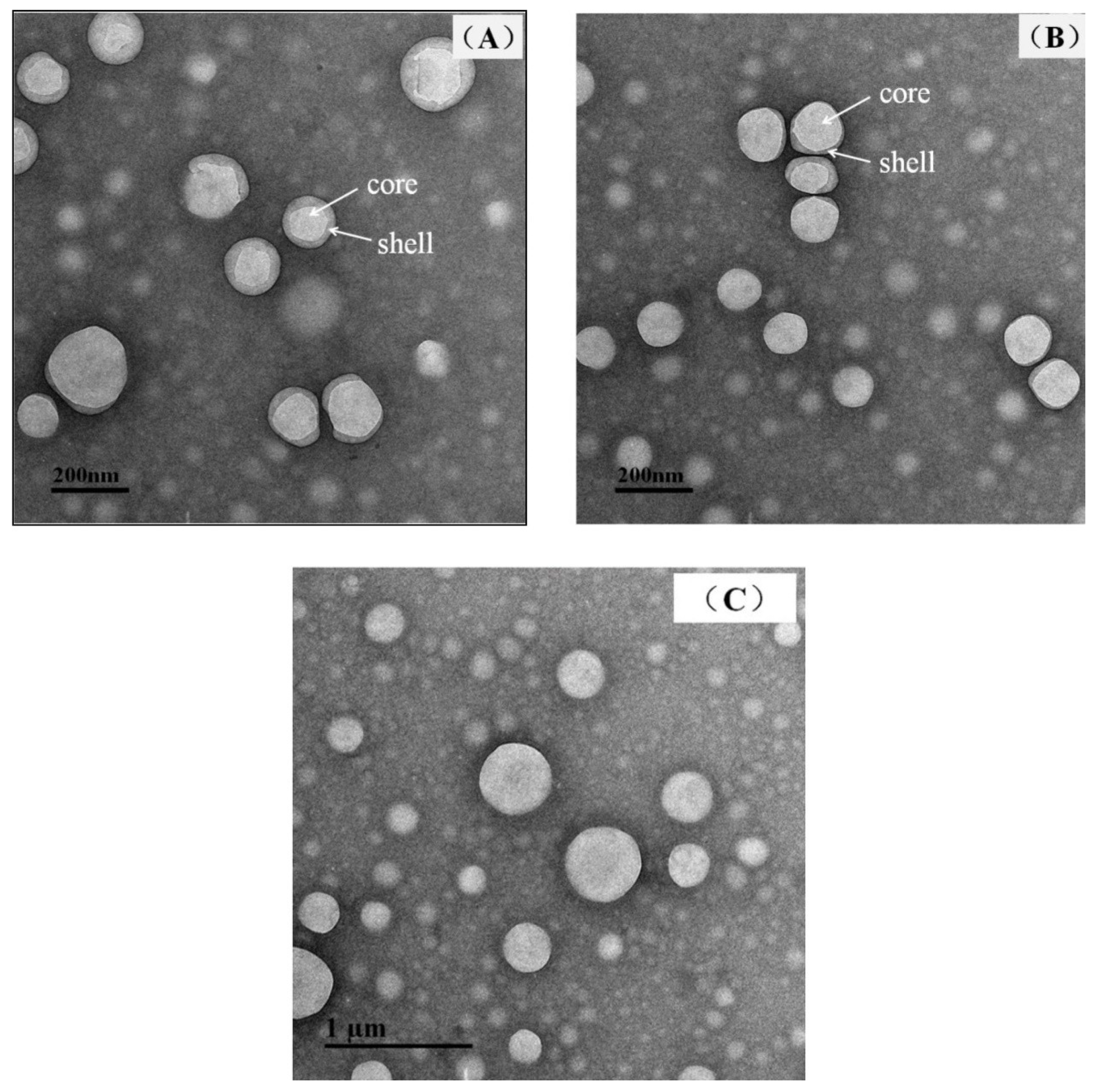 Molecules 30 00978 g004 Molecules 30 00978 g004