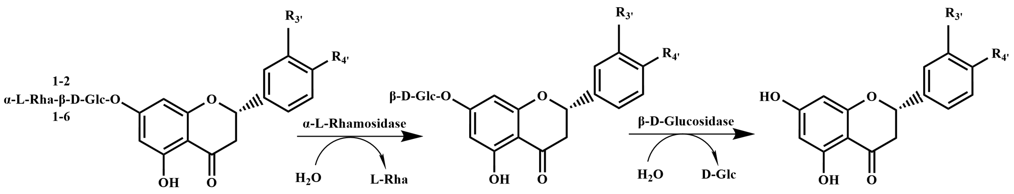 Molecules 30 00980 g003