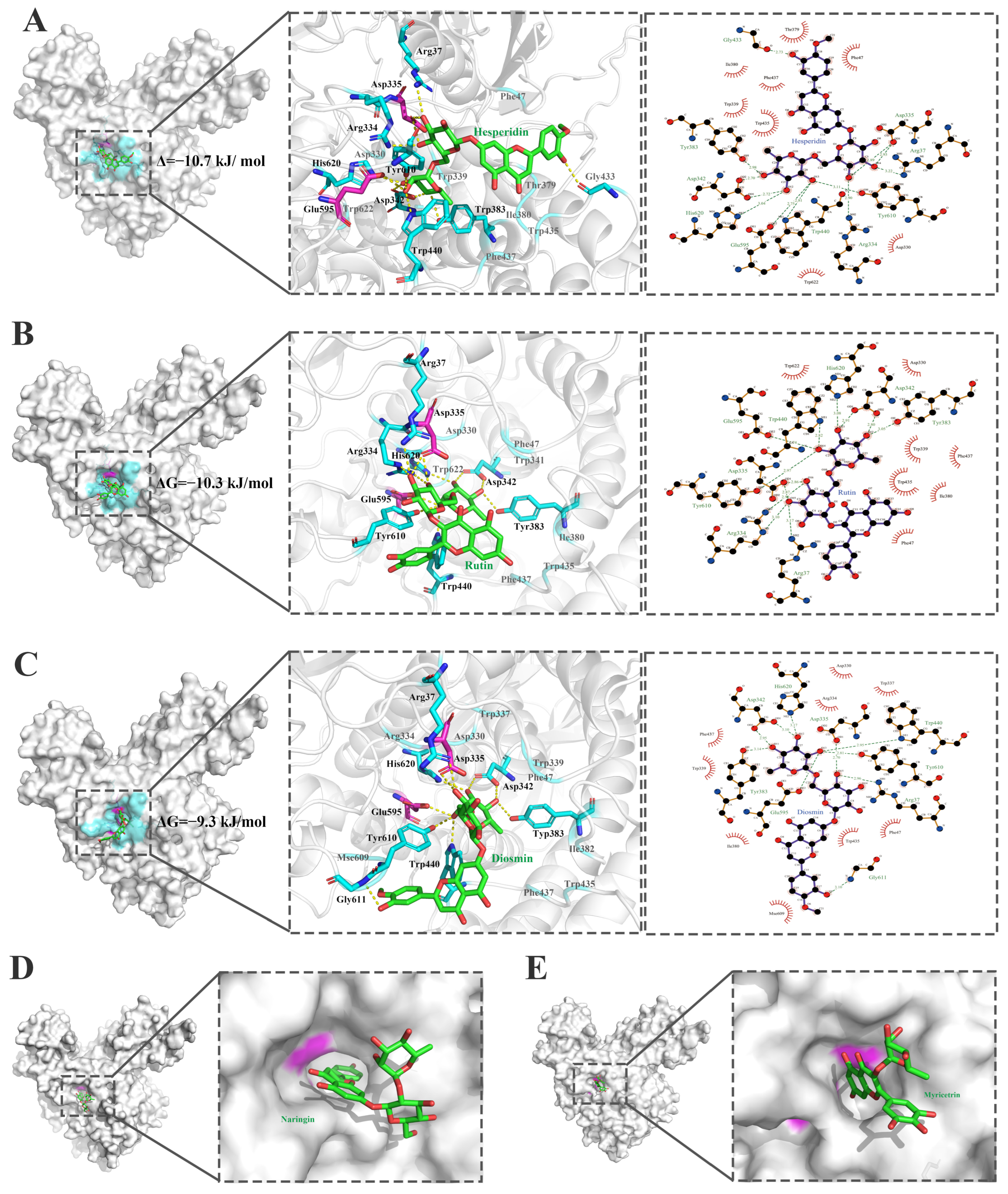 Molecules 30 00980 g006