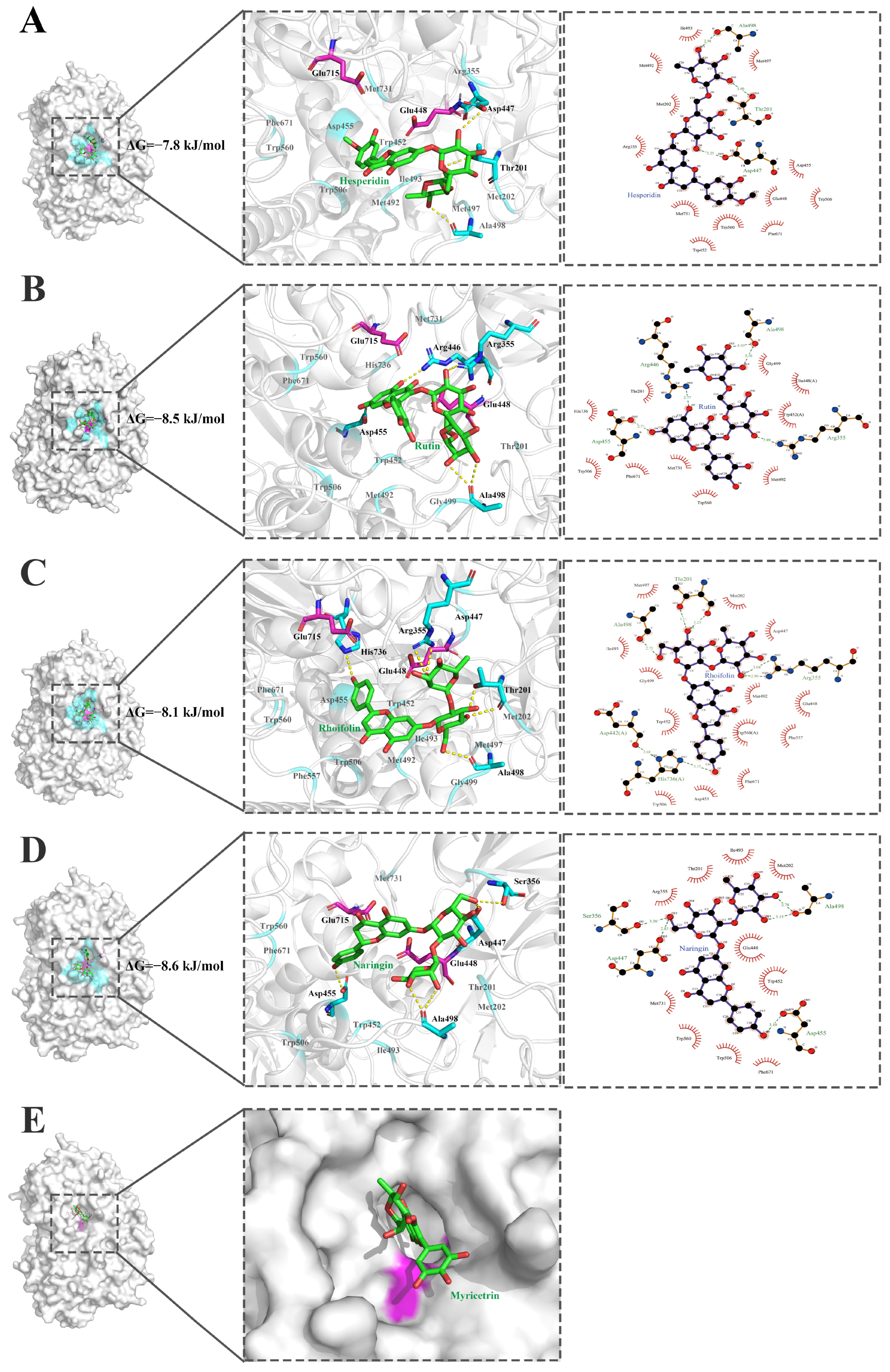 Molecules 30 00980 g007