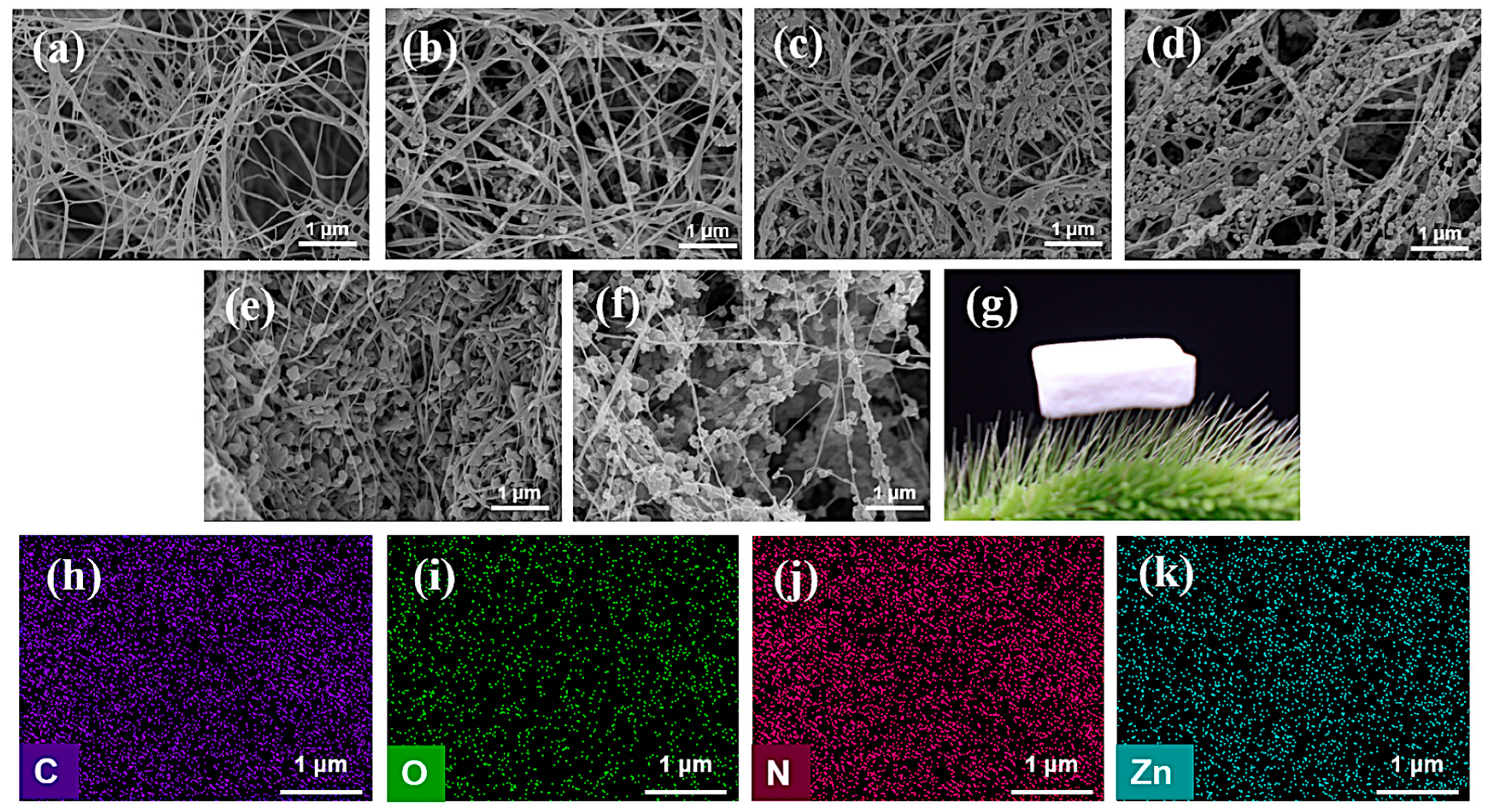 Molecules 30 00982 g001