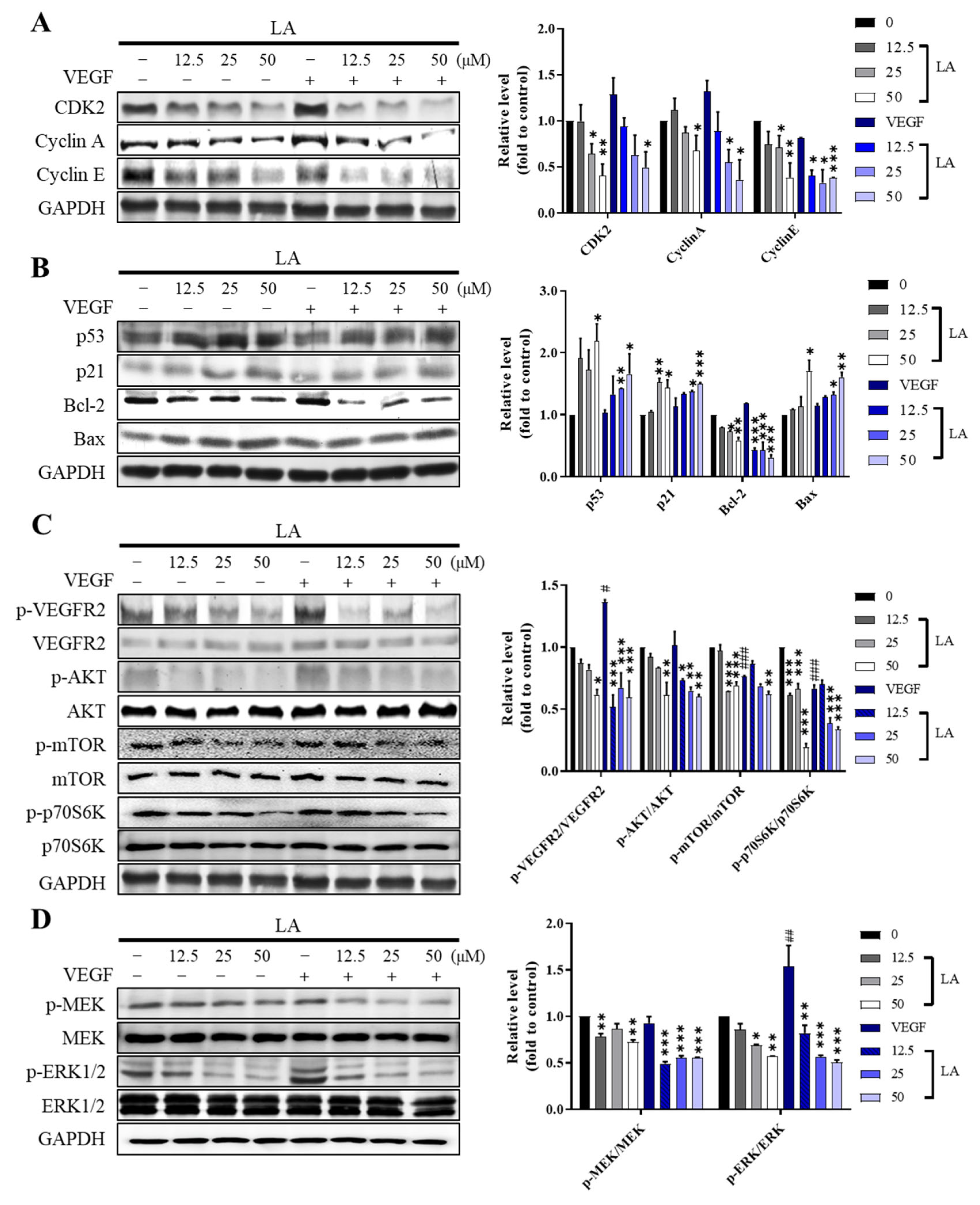 Molecules 30 00987 g006a