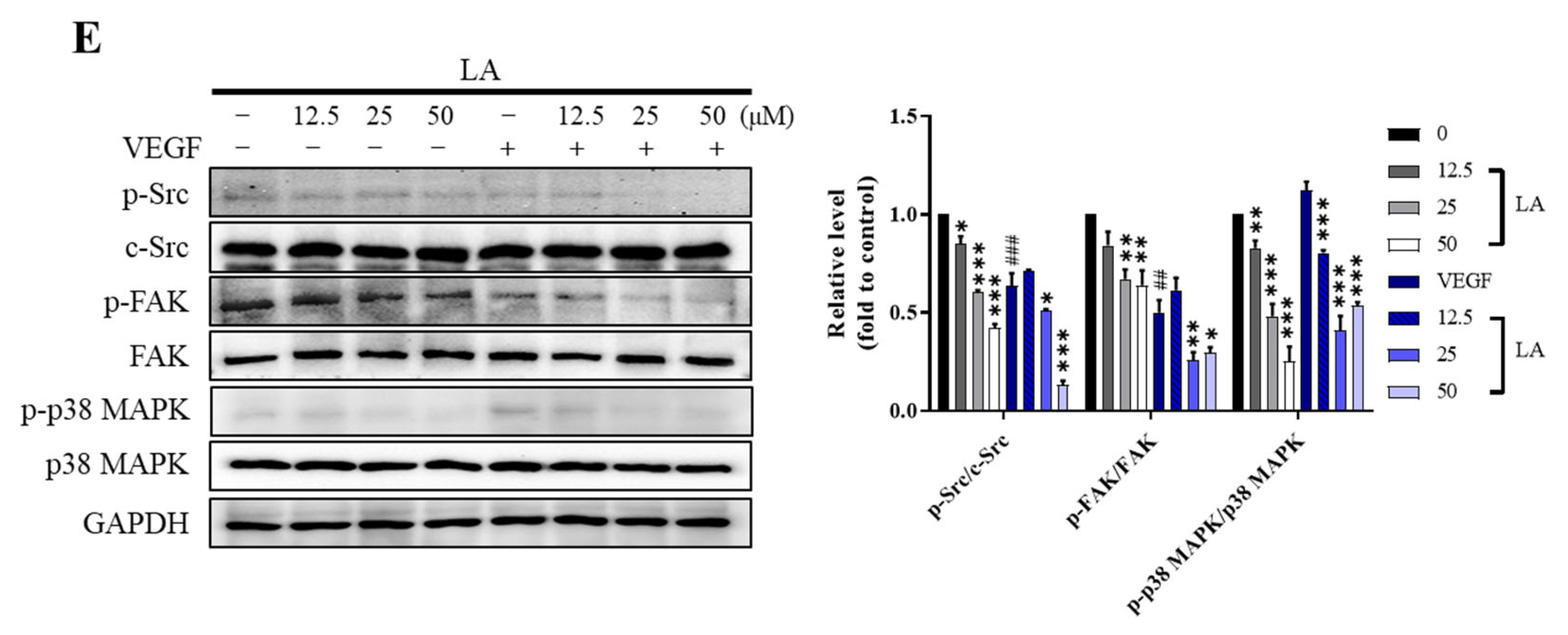 Molecules 30 00987 g006b