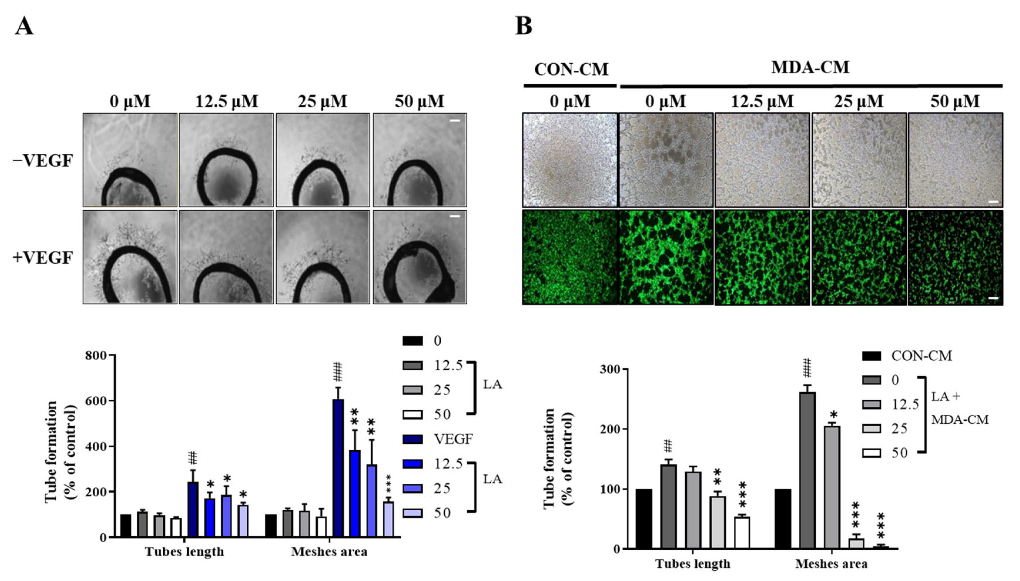 Molecules 30 00987 g008
