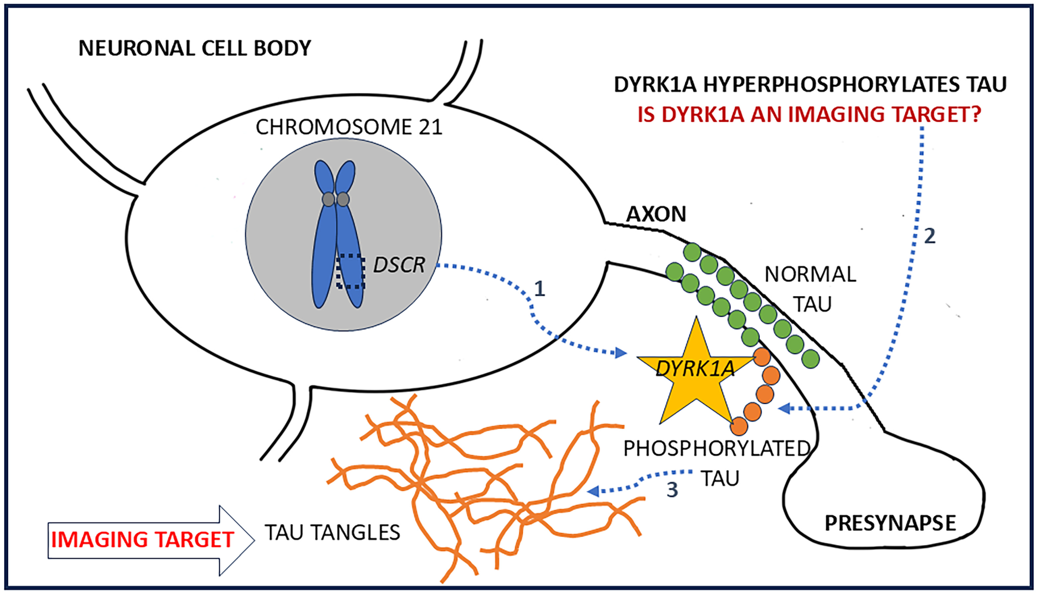Molecules 30 00990 g001
