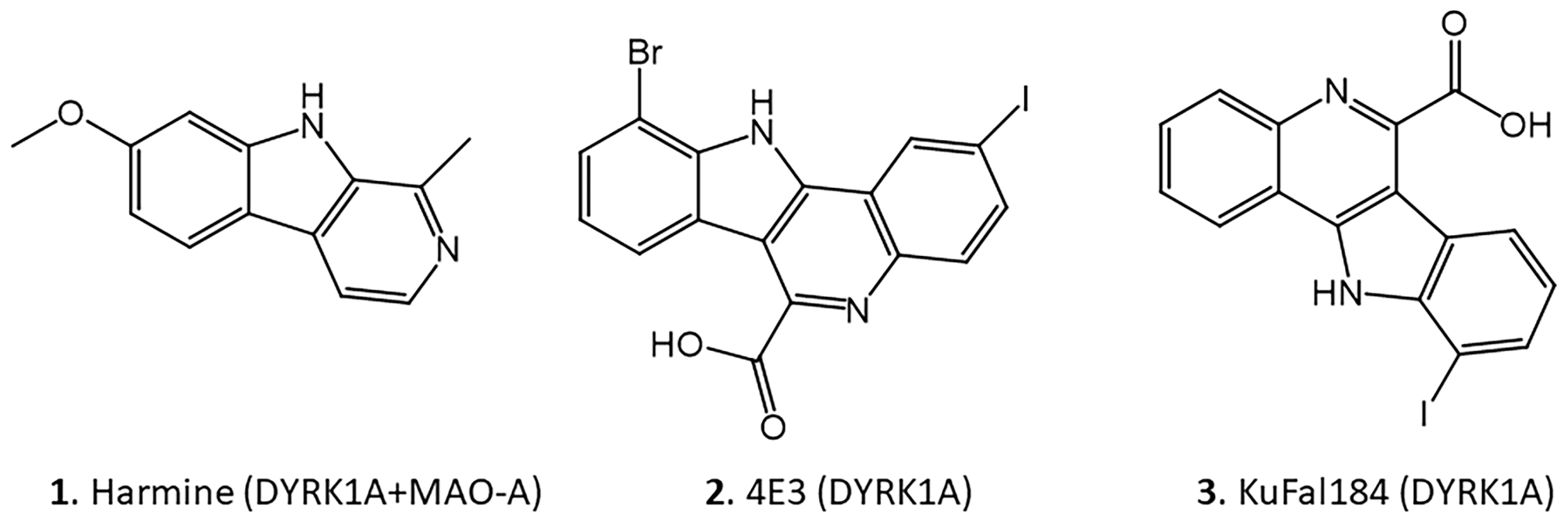 Molecules 30 00990 g002
