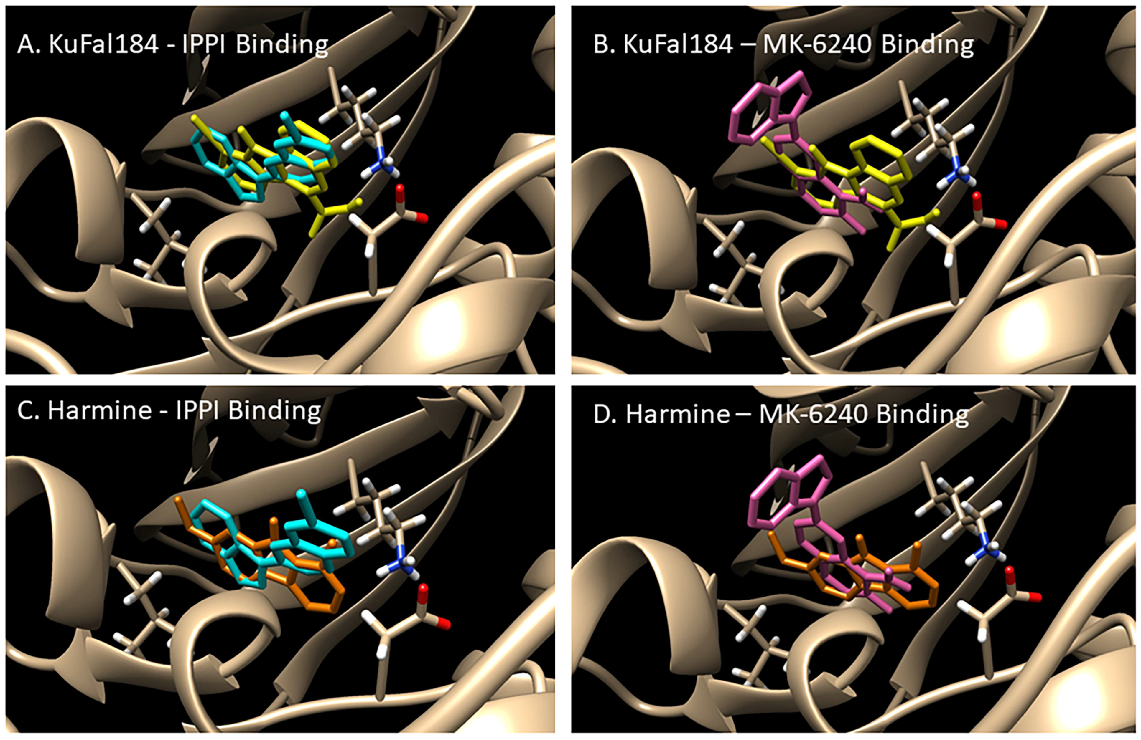 Molecules 30 00990 g005