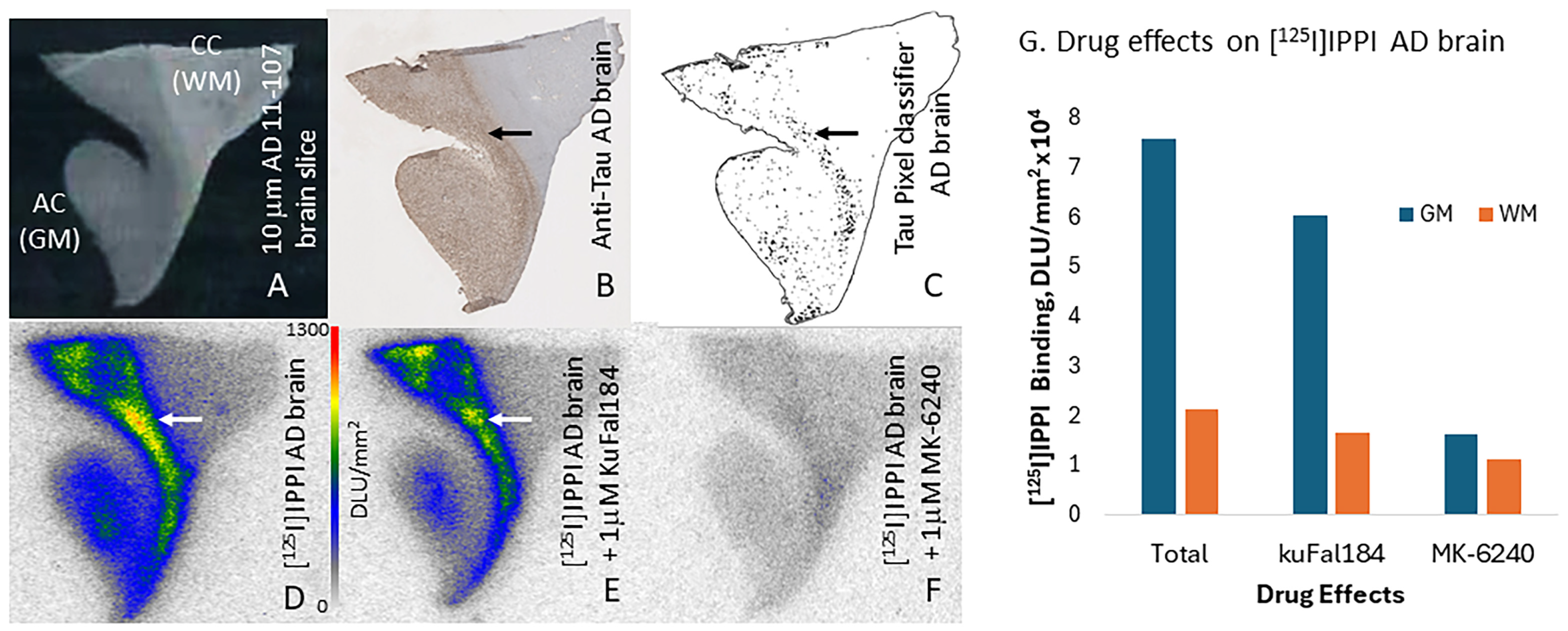 Molecules 30 00990 g006