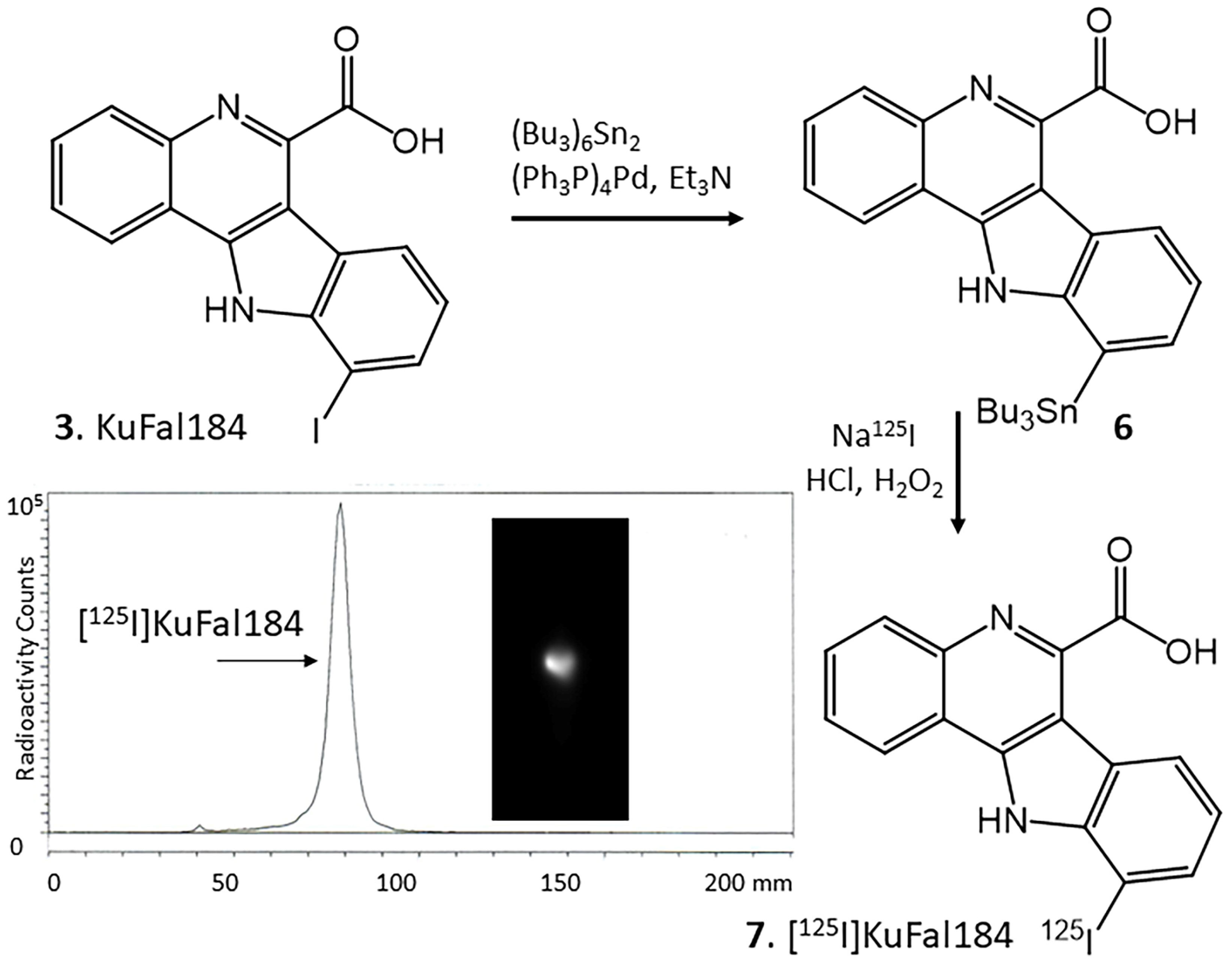 Molecules 30 00990 g007