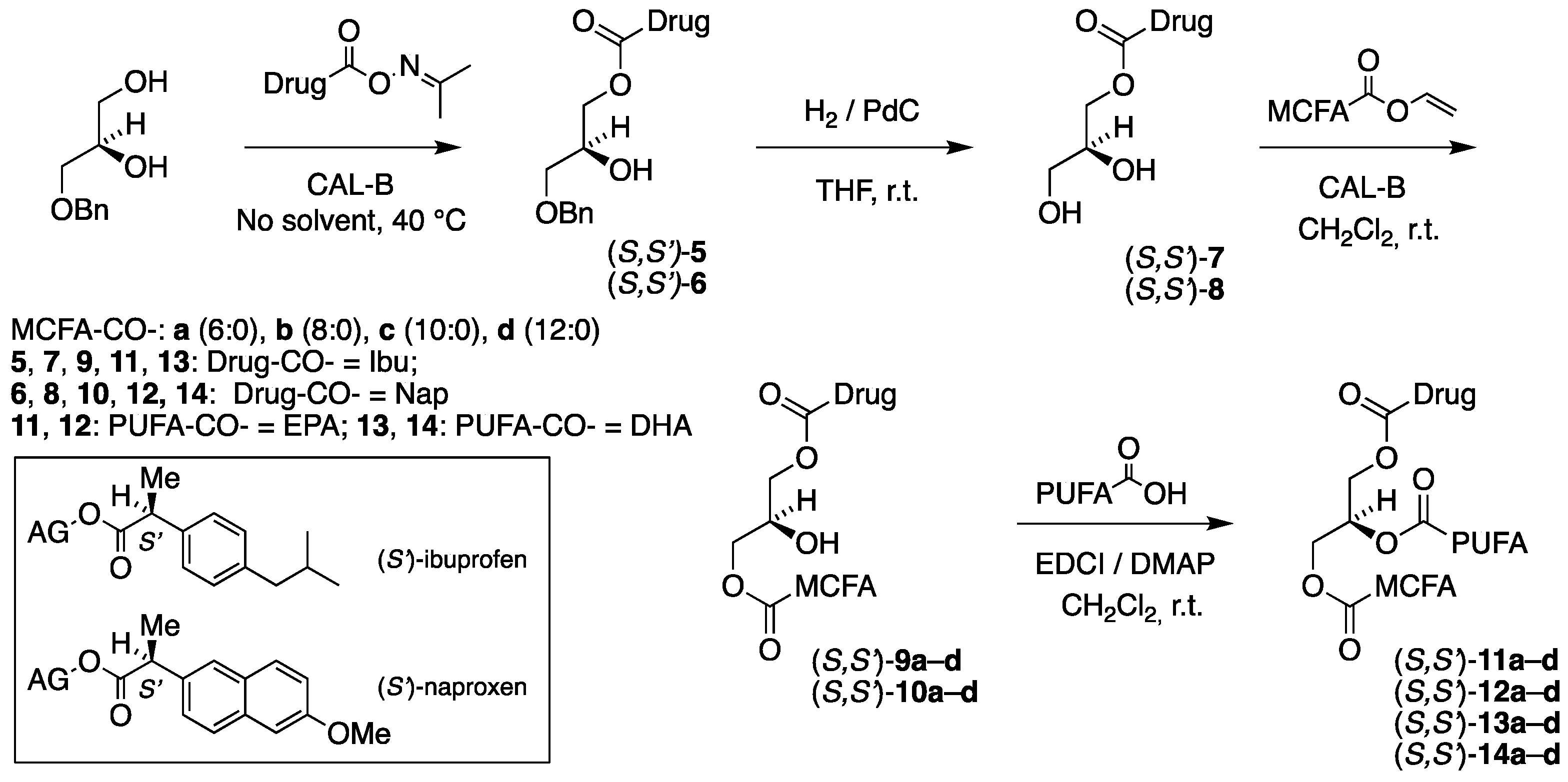 Molecules 30 00991 g003
