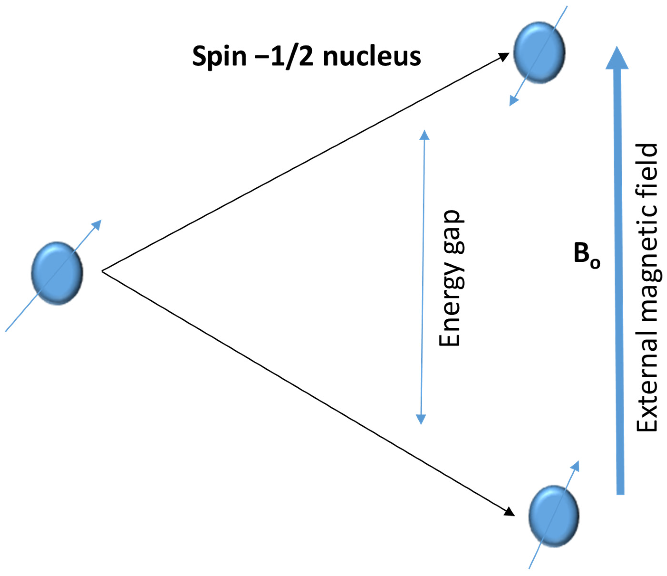 Molecules 30 01001 g009