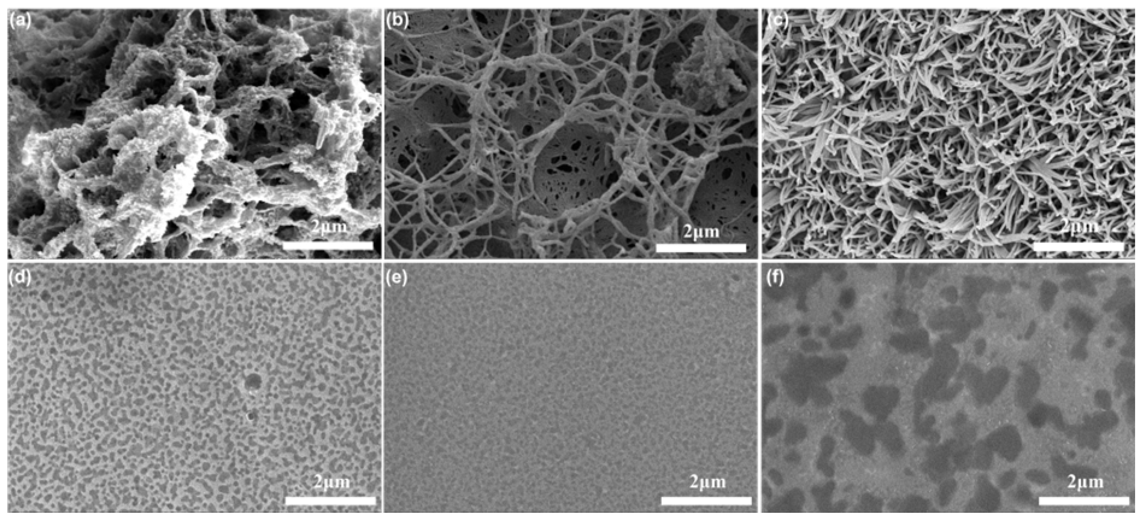 Molecules 30 01004 g003