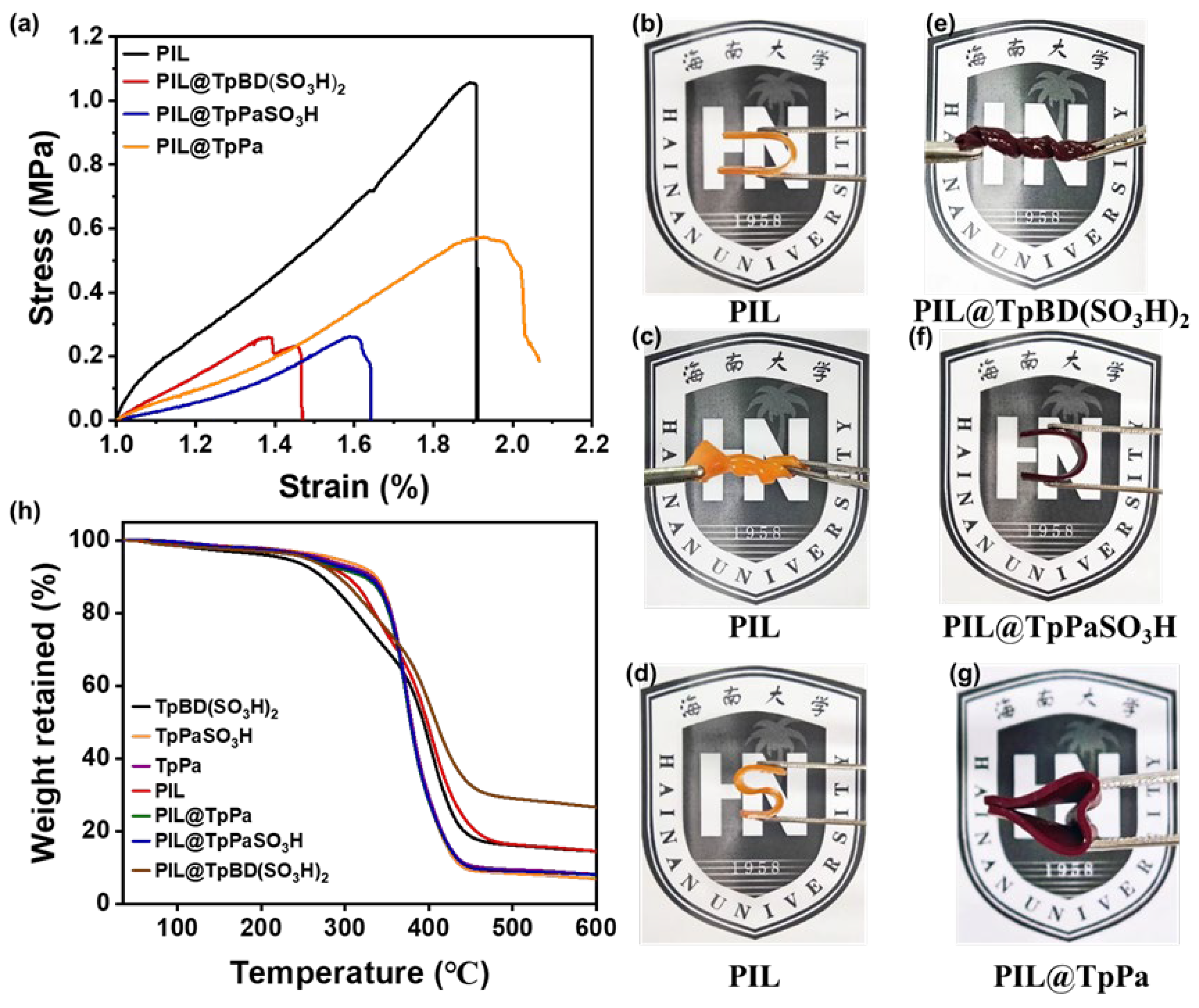 Molecules 30 01004 g004
