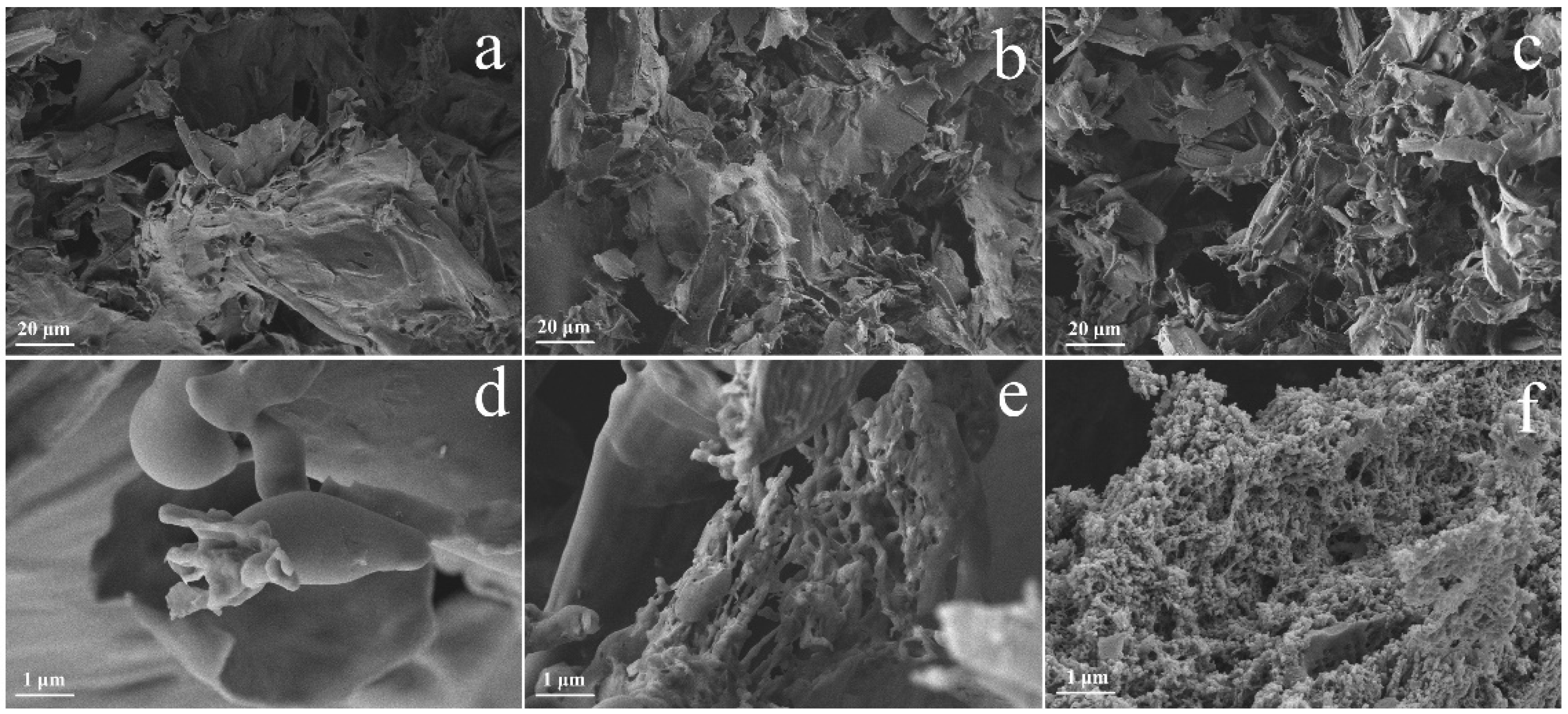 Molecules 30 01005 g001