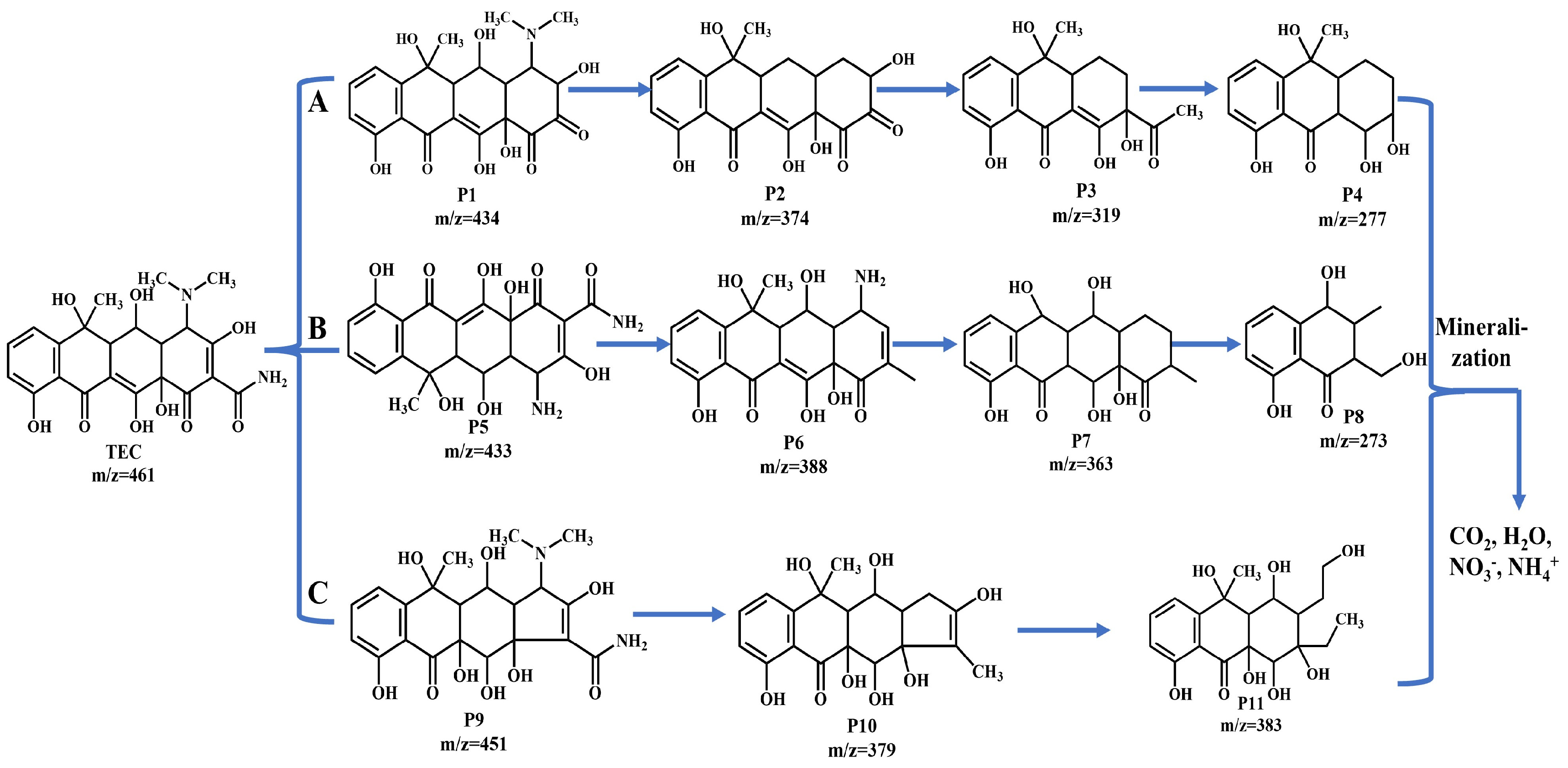 Molecules 30 01005 g010