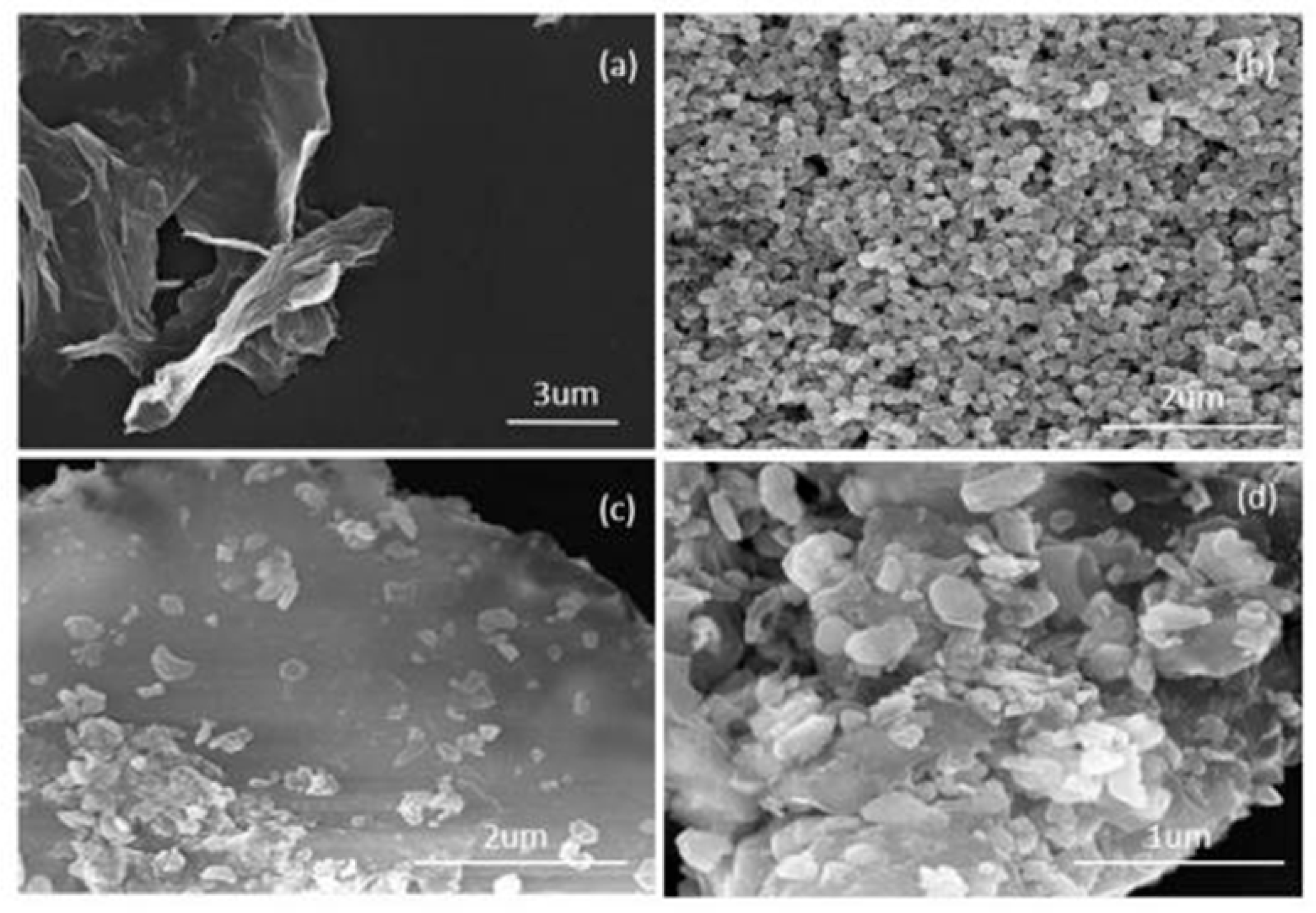 Molecules 30 01008 g002