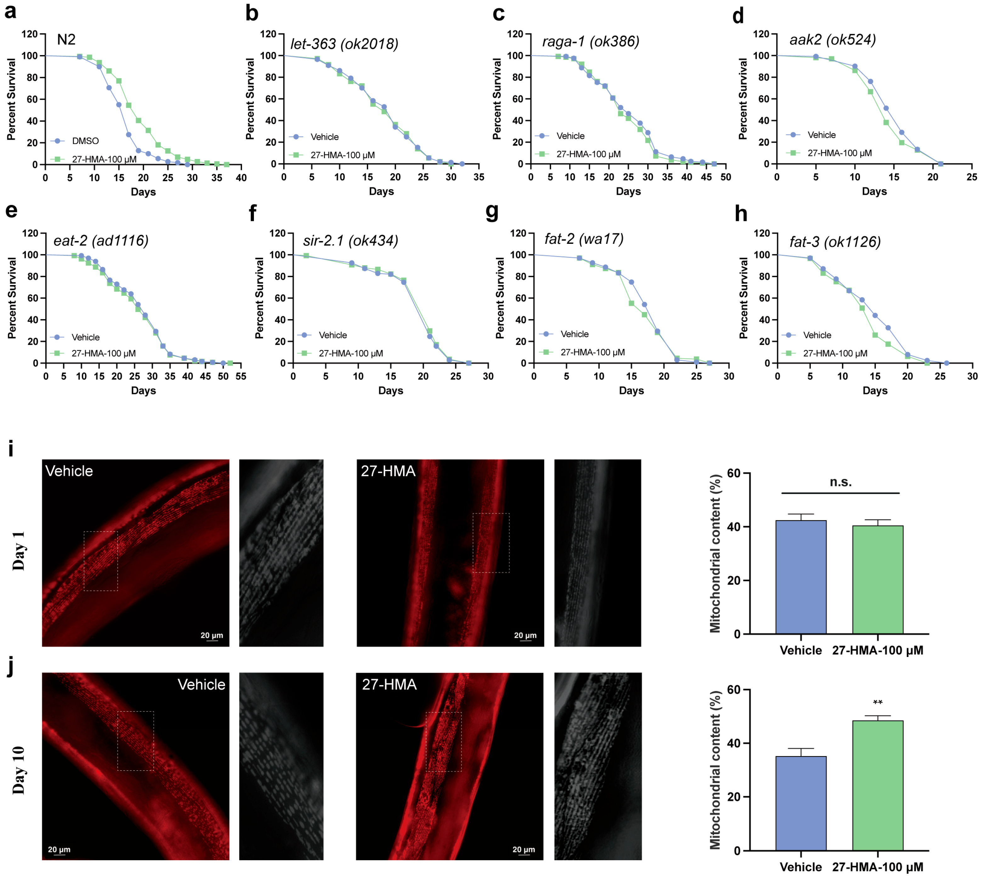 Molecules 30 01010 g004