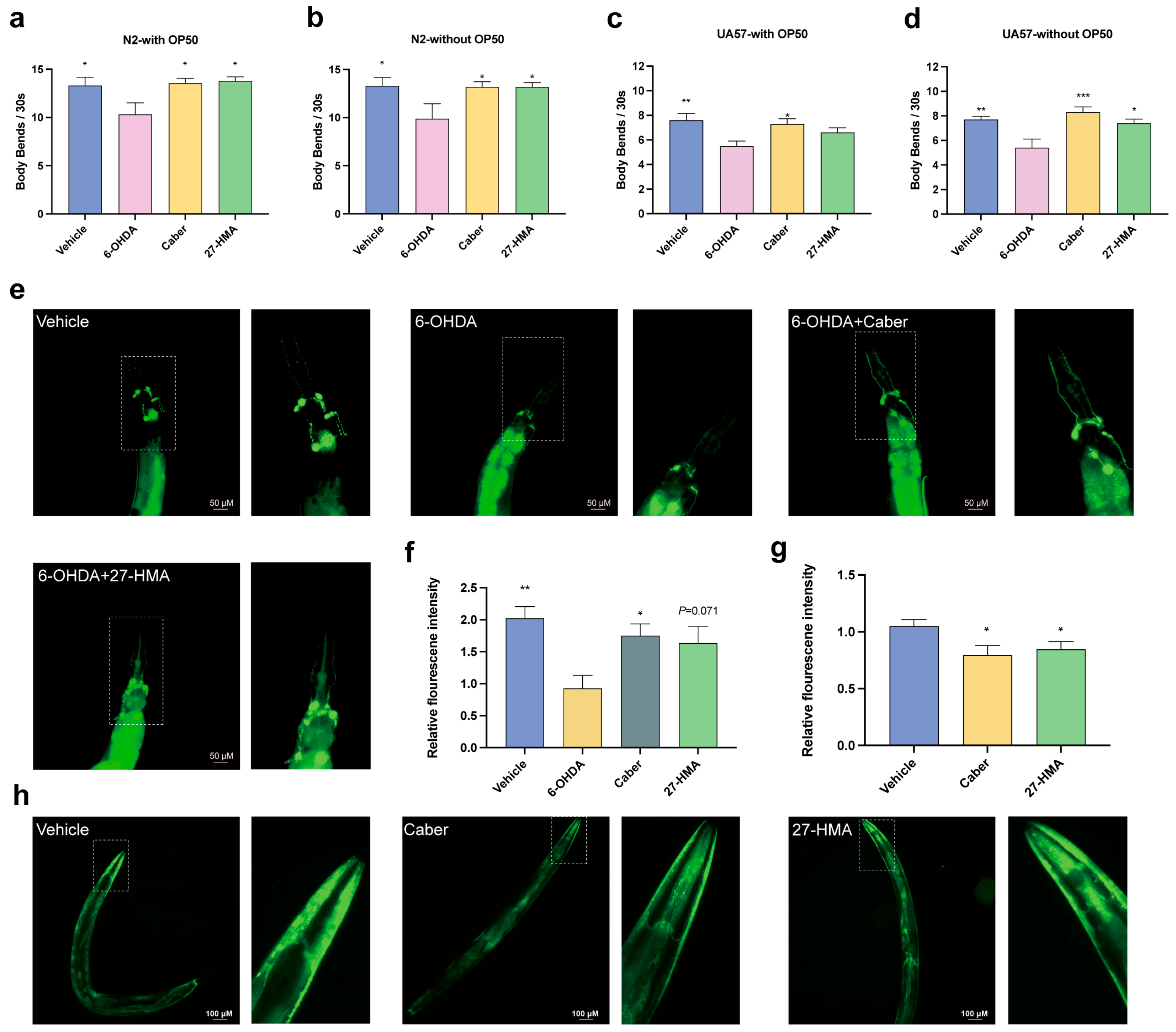 Molecules 30 01010 g007