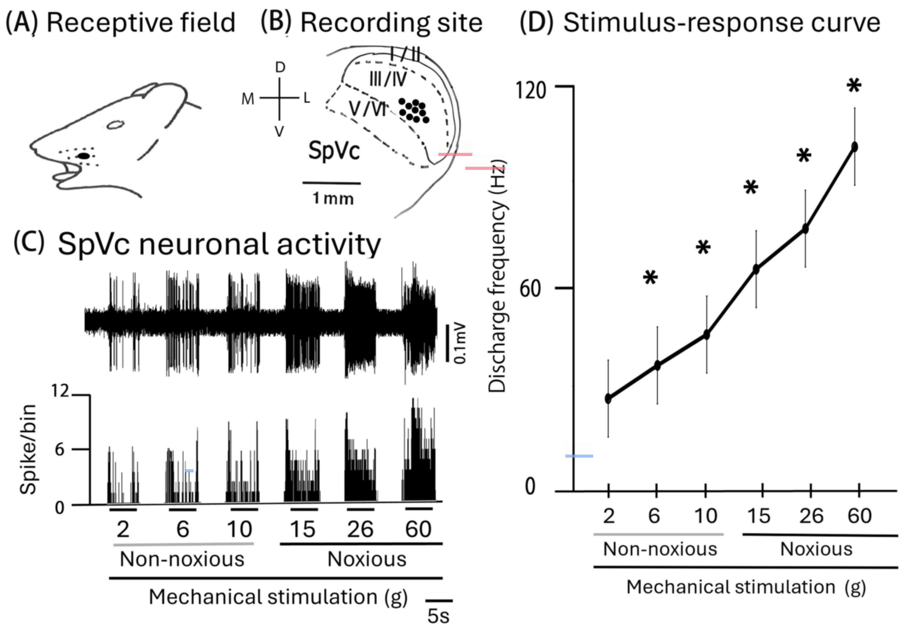Molecules 30 01019 g001