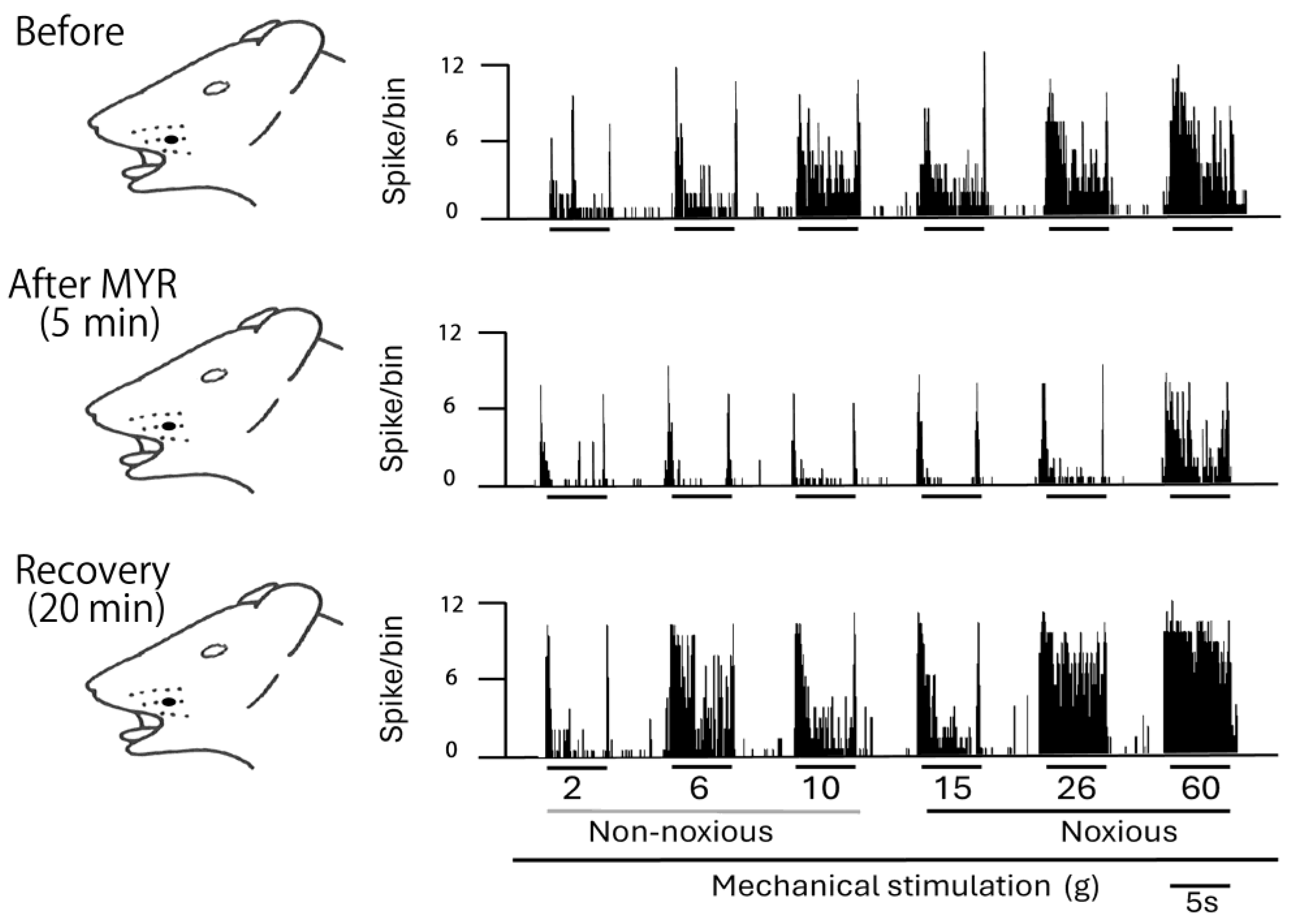 Molecules 30 01019 g002
