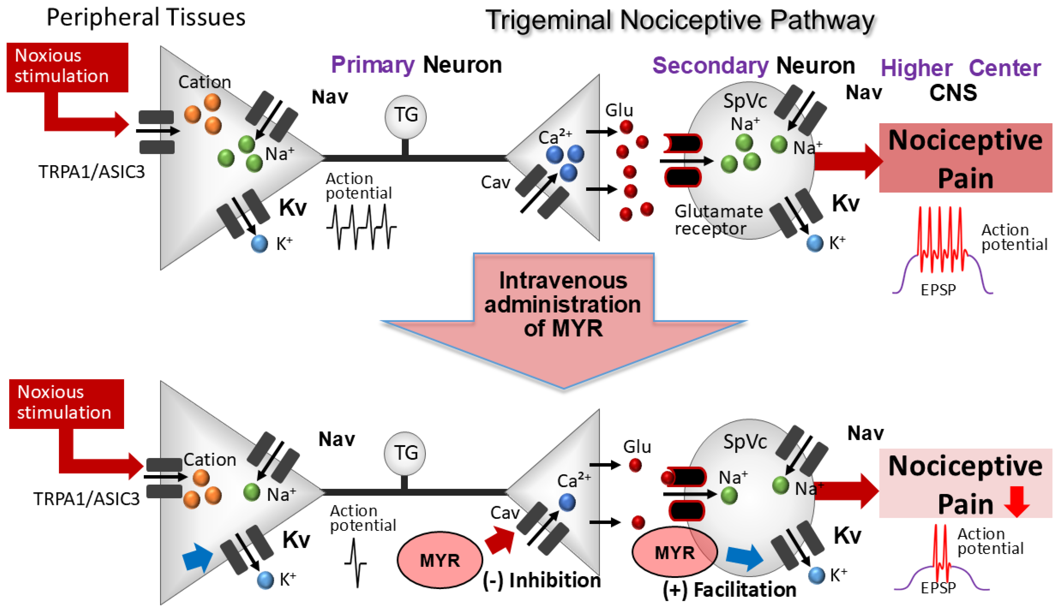 Molecules 30 01019 g006