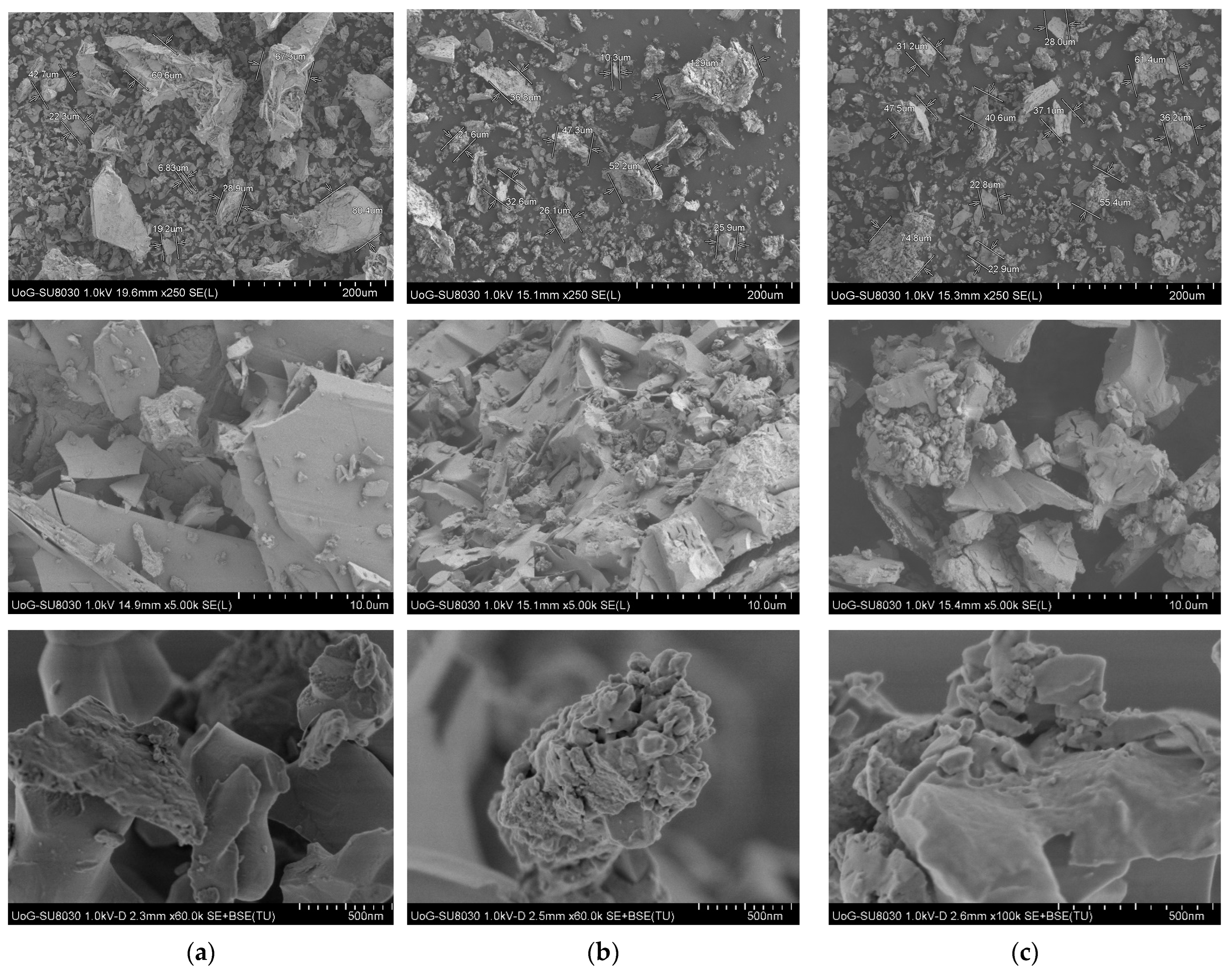 Molecules 30 01020 g001