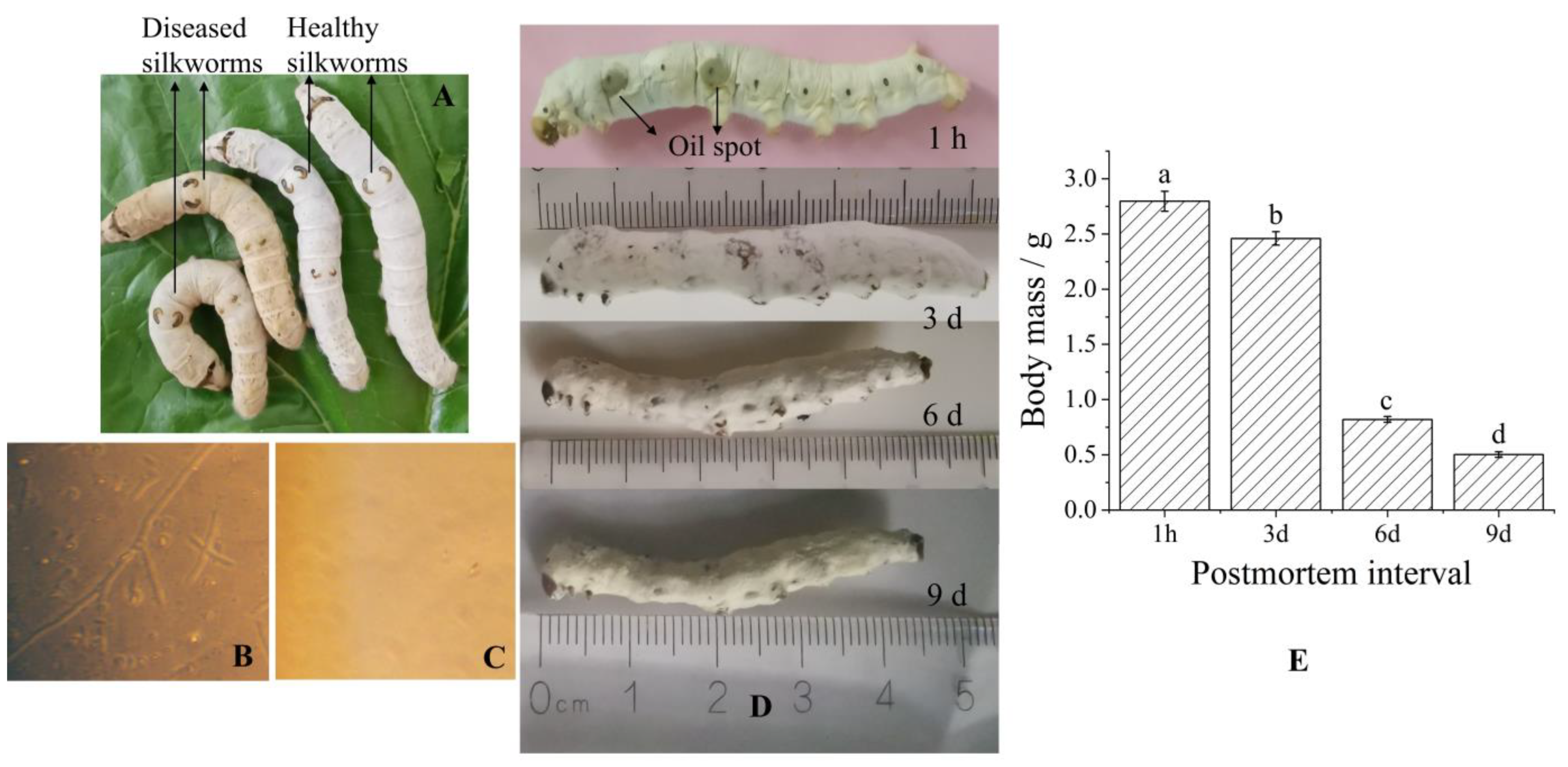 Molecules 30 01021 g001