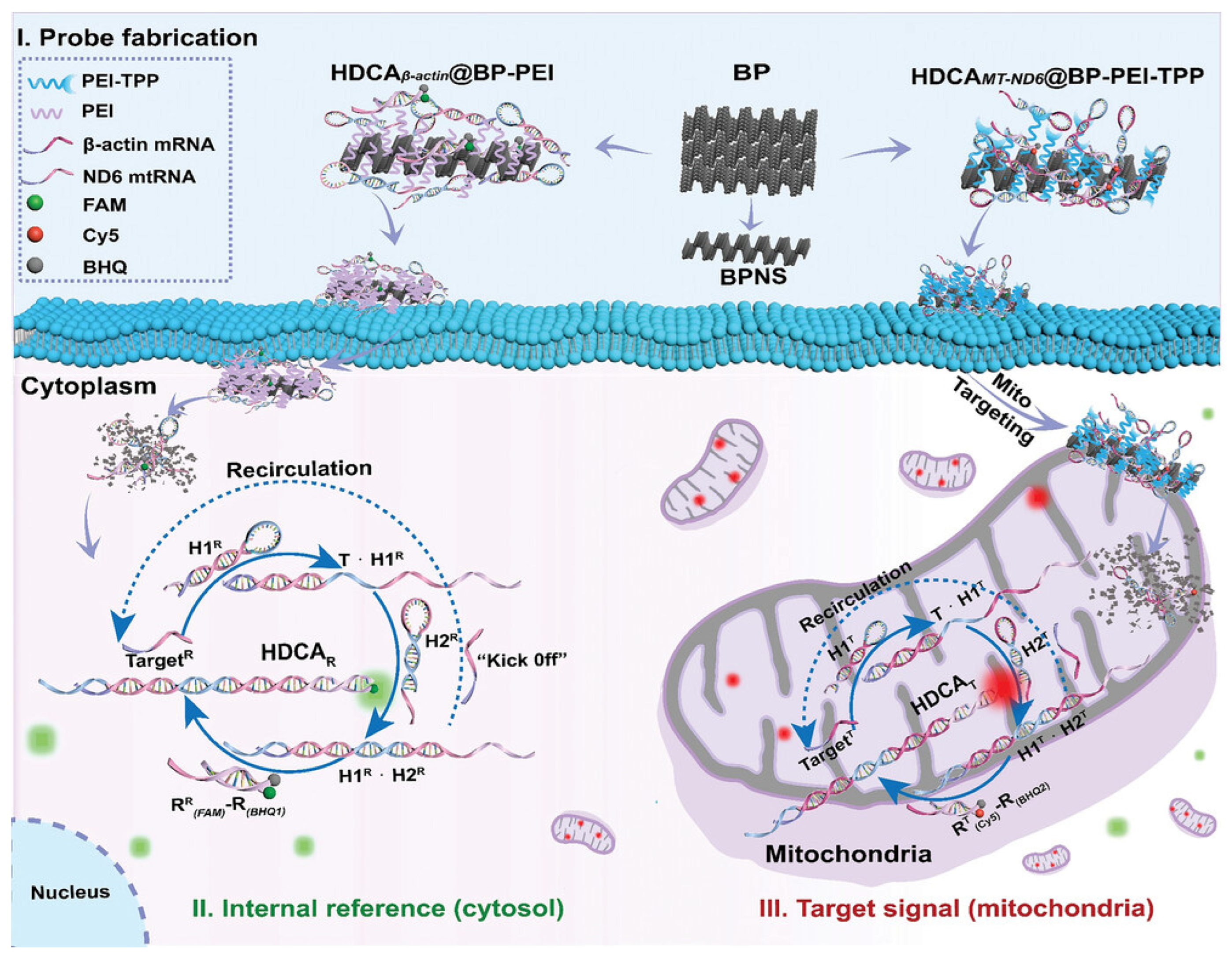Molecules 30 01025 g001