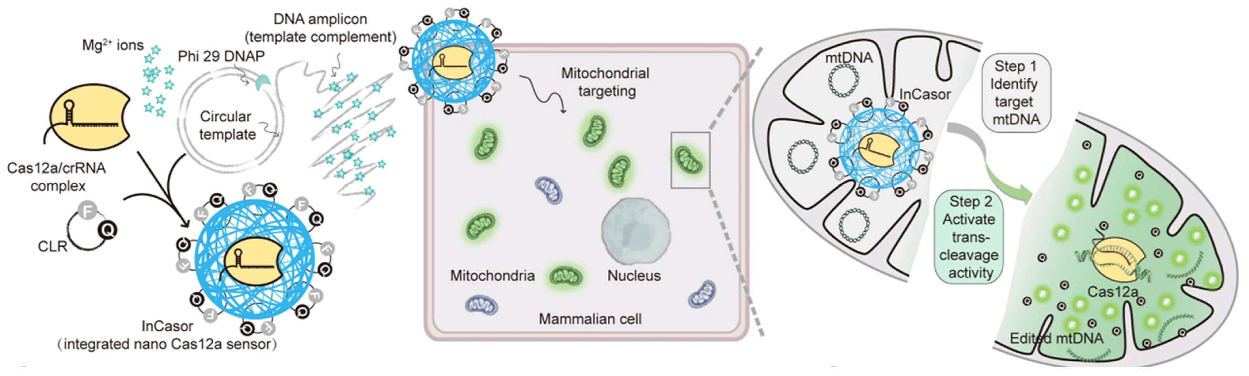Molecules 30 01025 g002