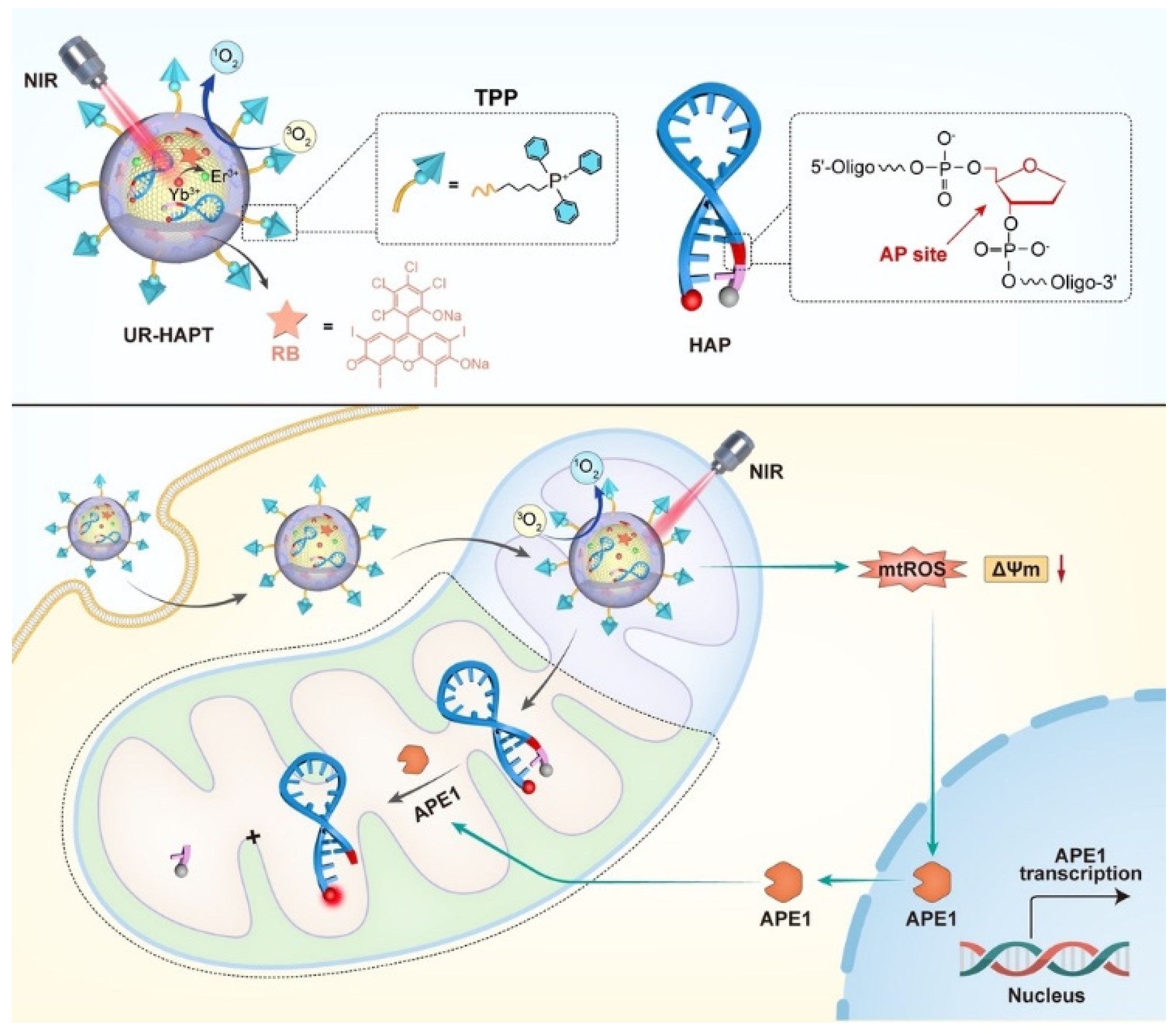 Molecules 30 01025 g003