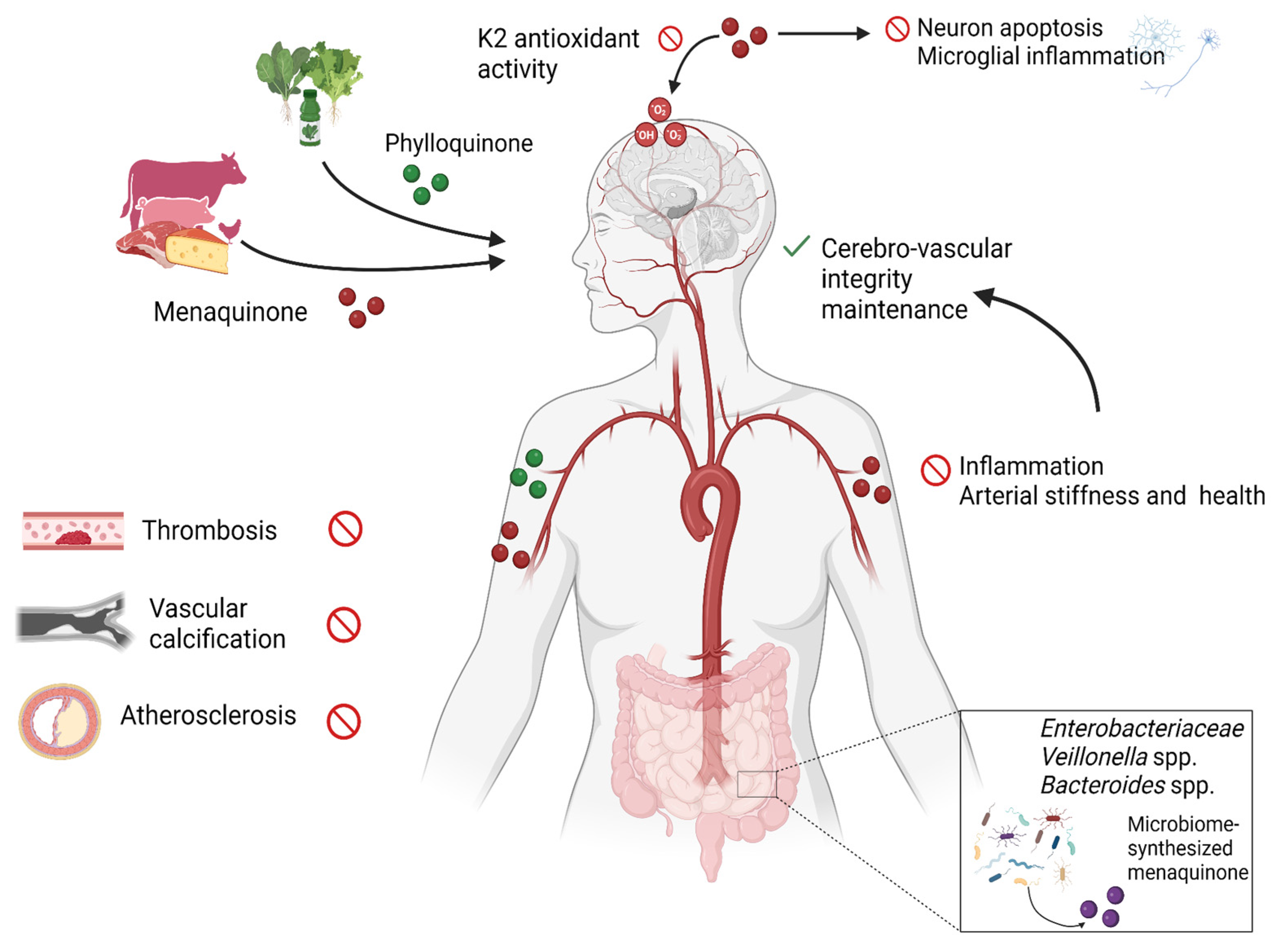 Molecules 30 01027 g002 Molecules 30 01027 g002