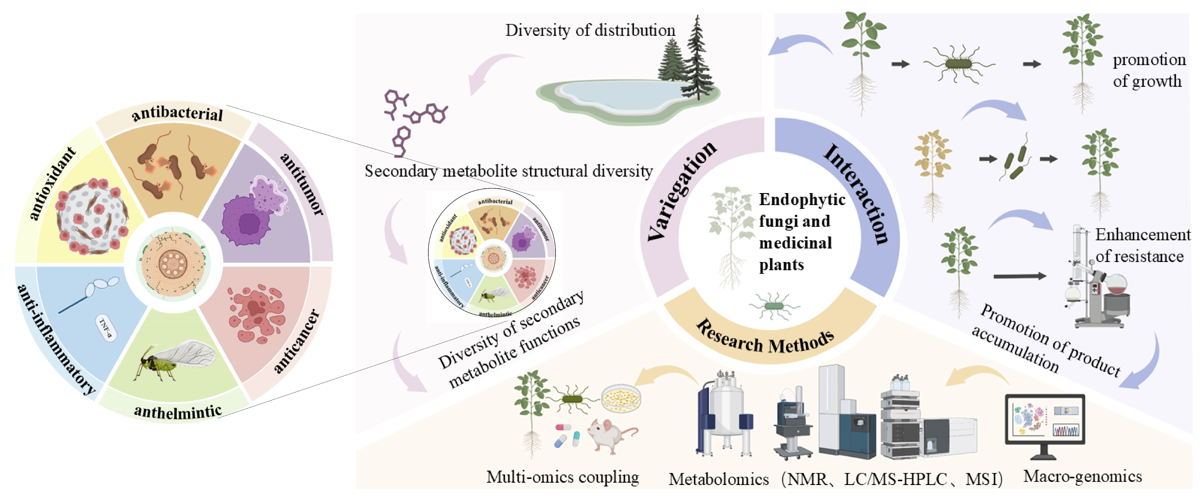 Molecules 30 01028 g001