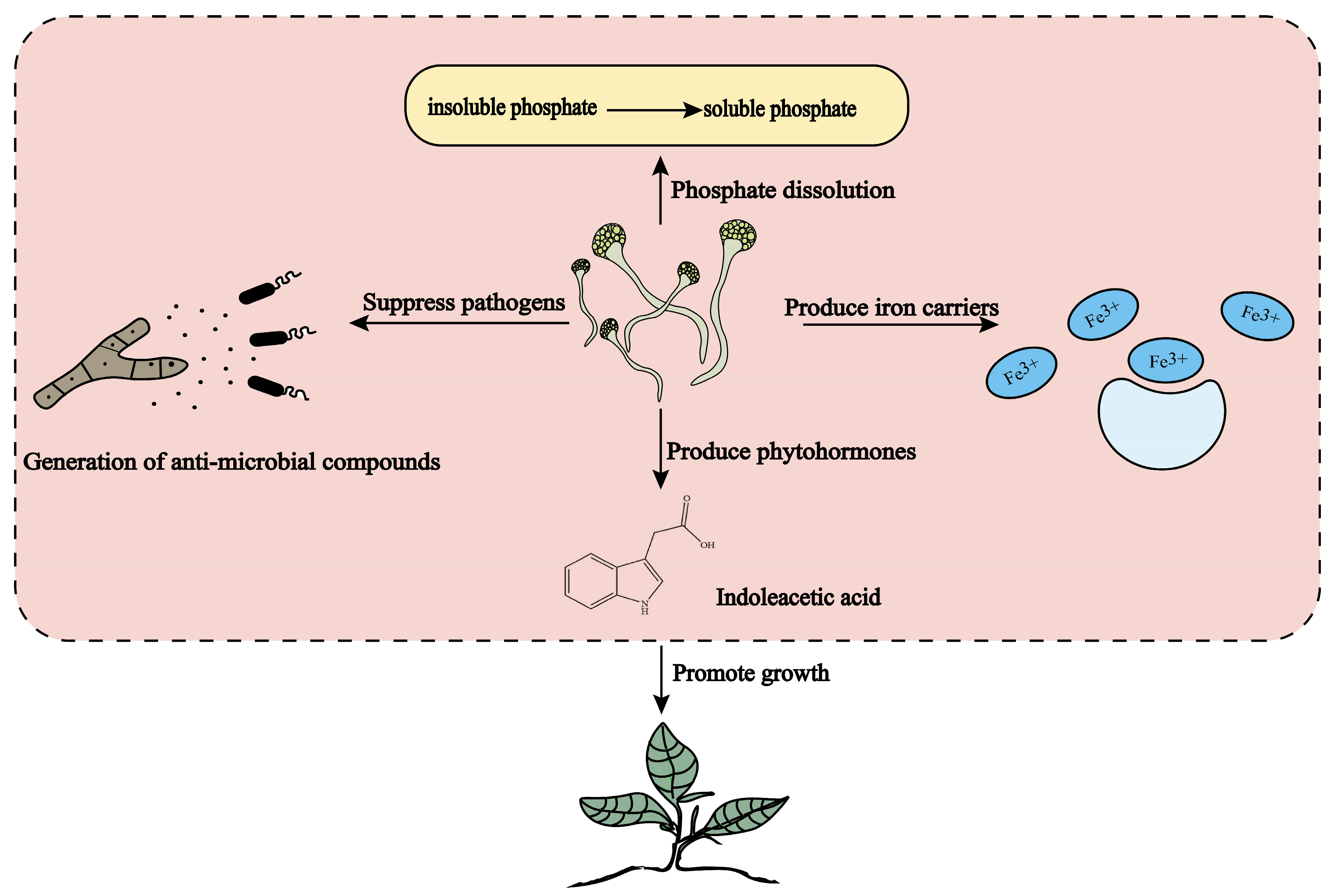 Molecules 30 01028 g003