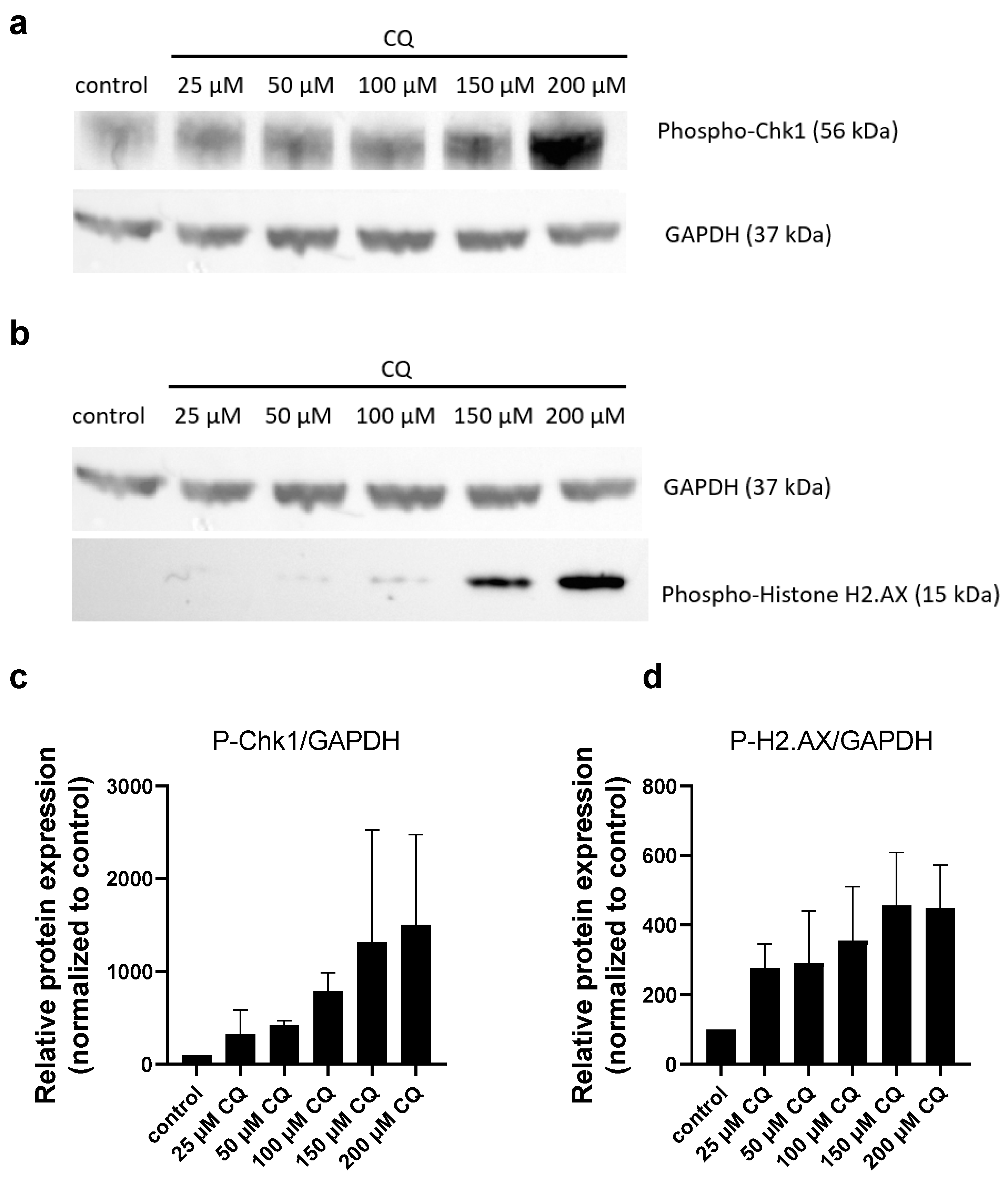 Molecules 30 01031 g002