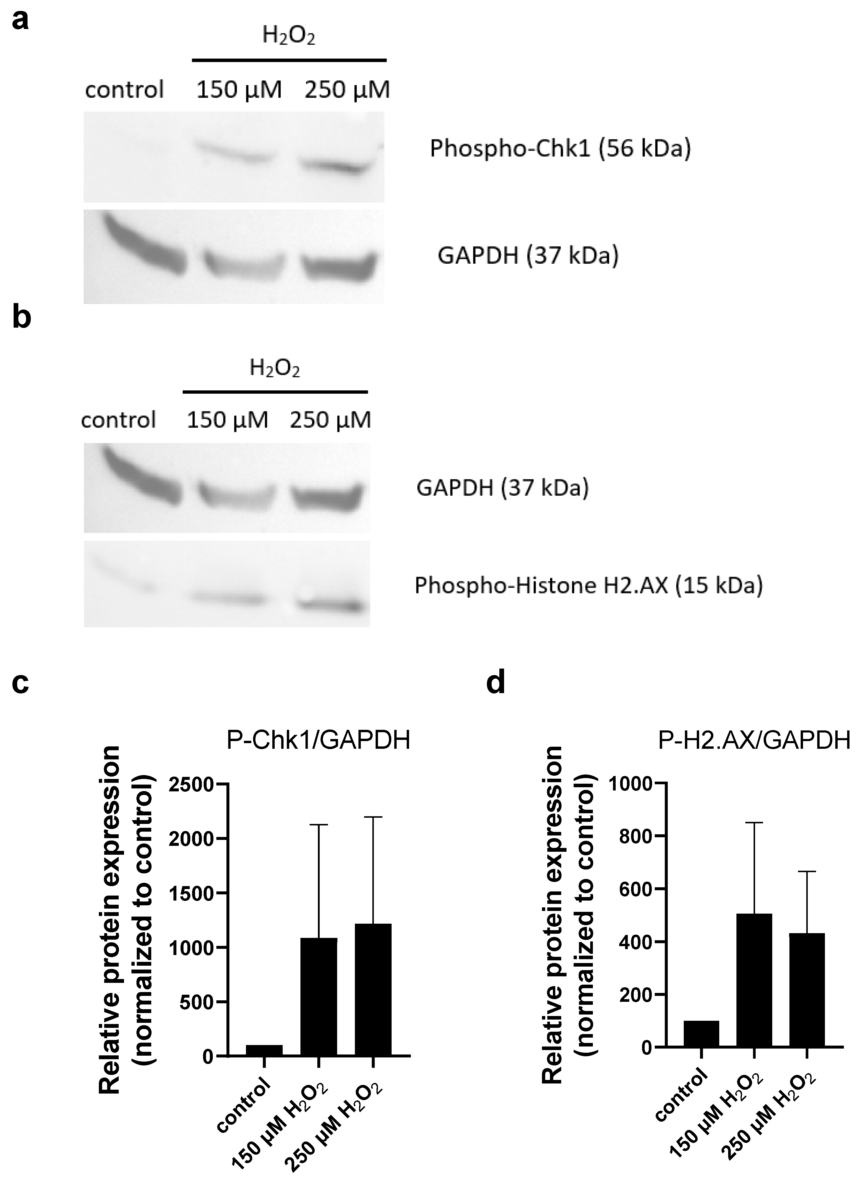Molecules 30 01031 g003
