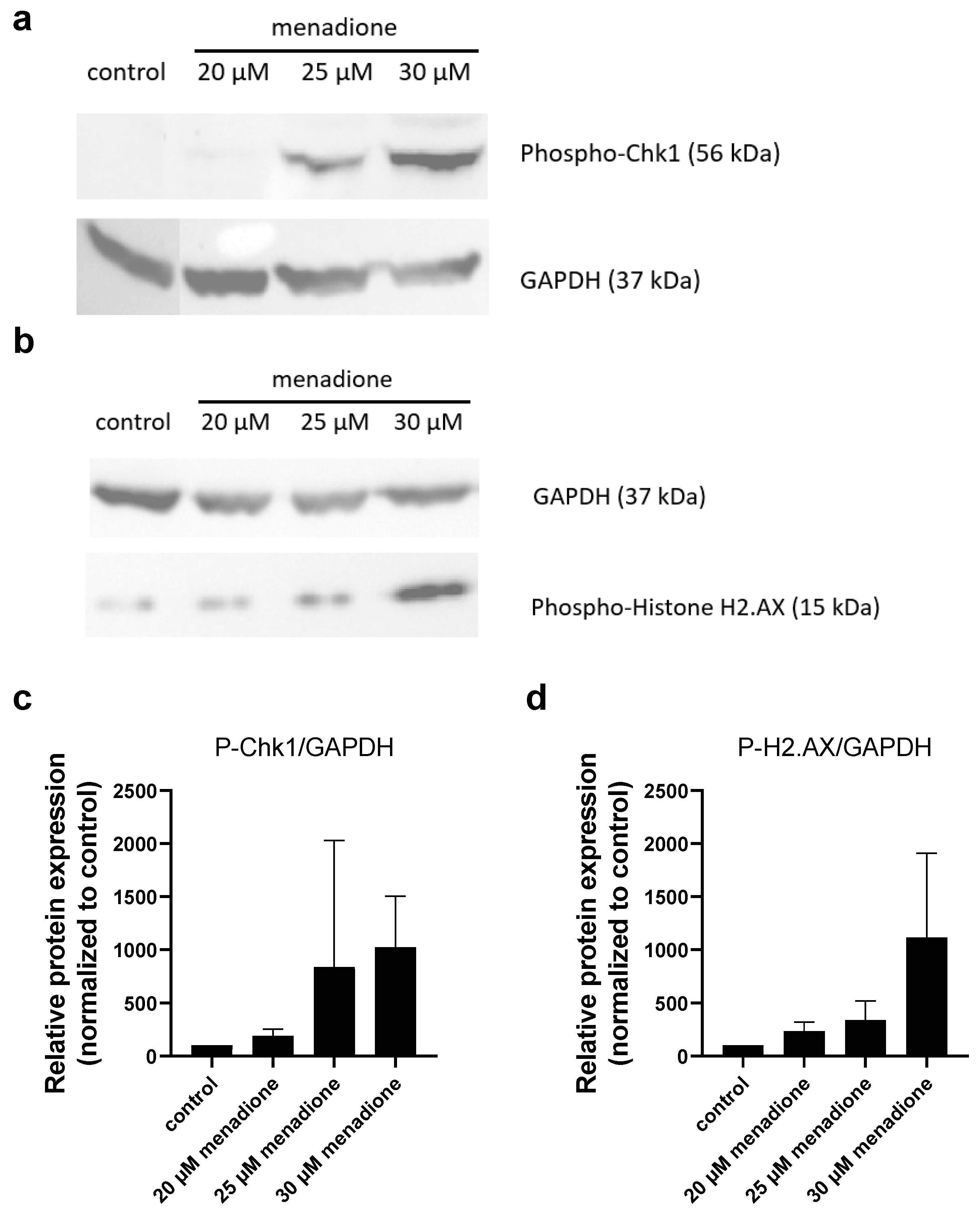 Molecules 30 01031 g004