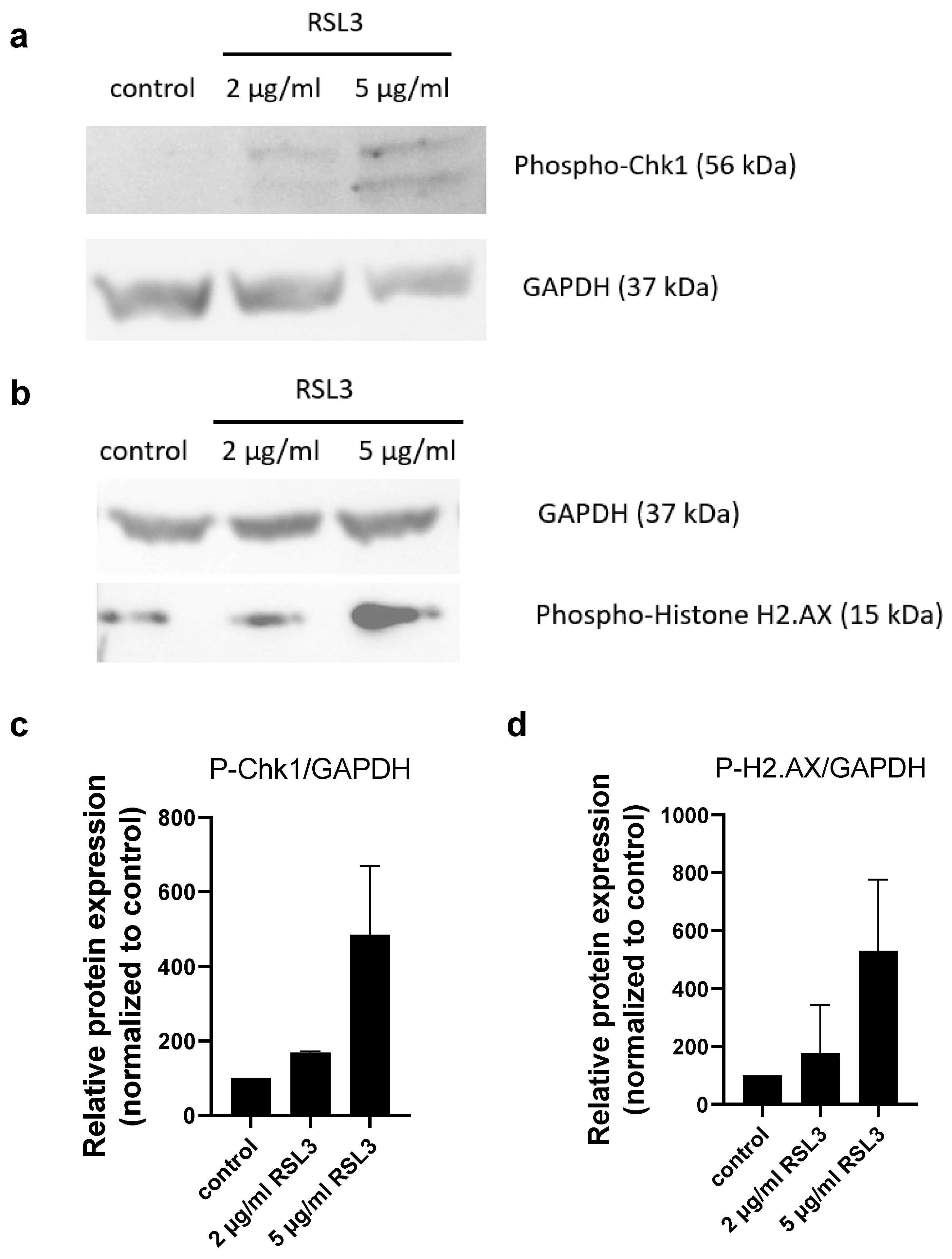 Molecules 30 01031 g005