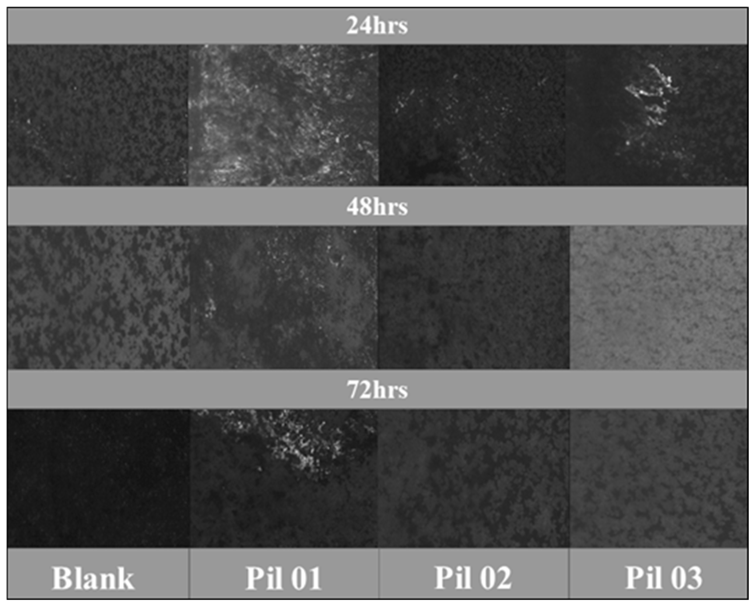 Molecules 30 01033 g007 Molecules 30 01033 g007