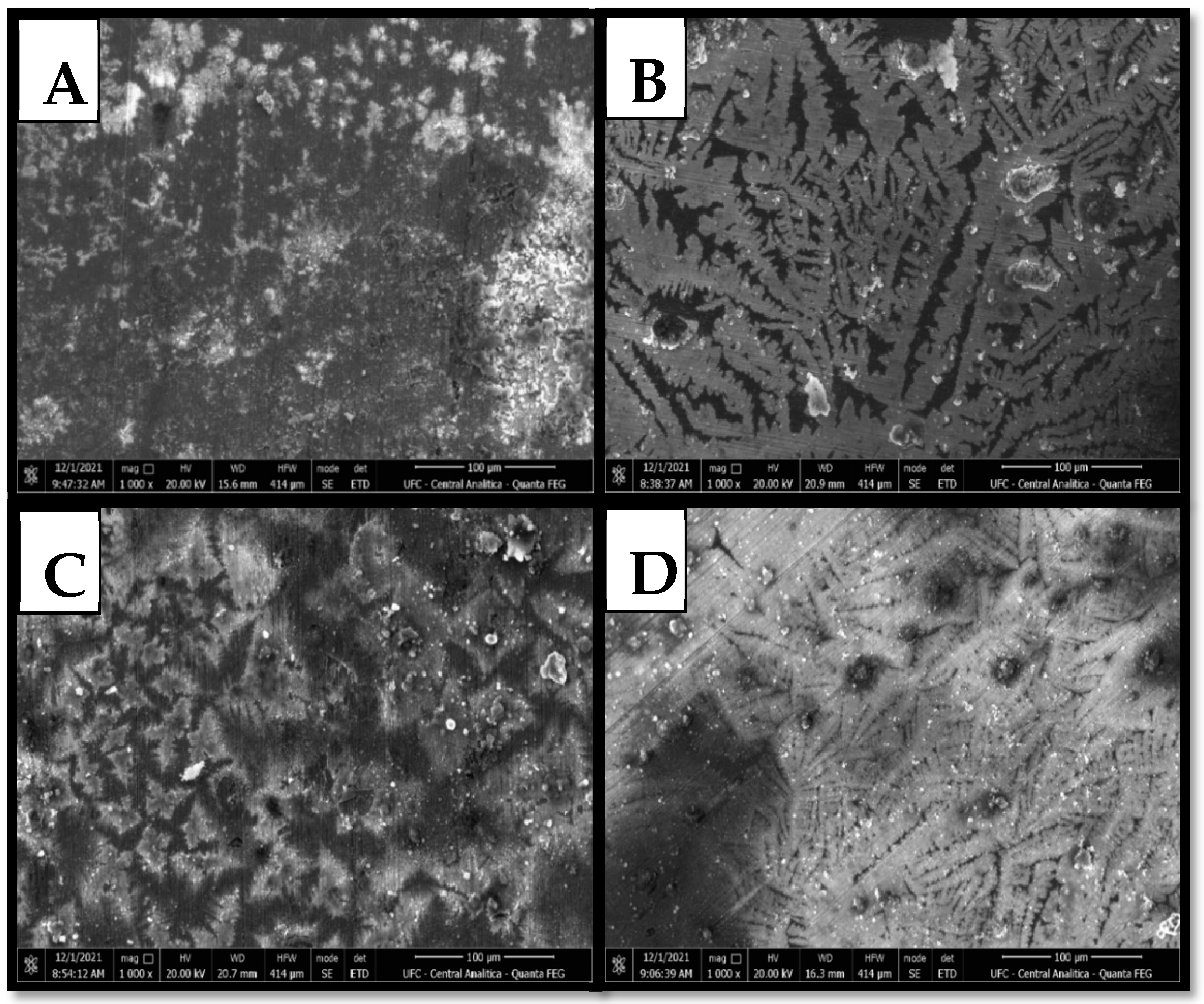 Molecules 30 01033 g008 Molecules 30 01033 g008