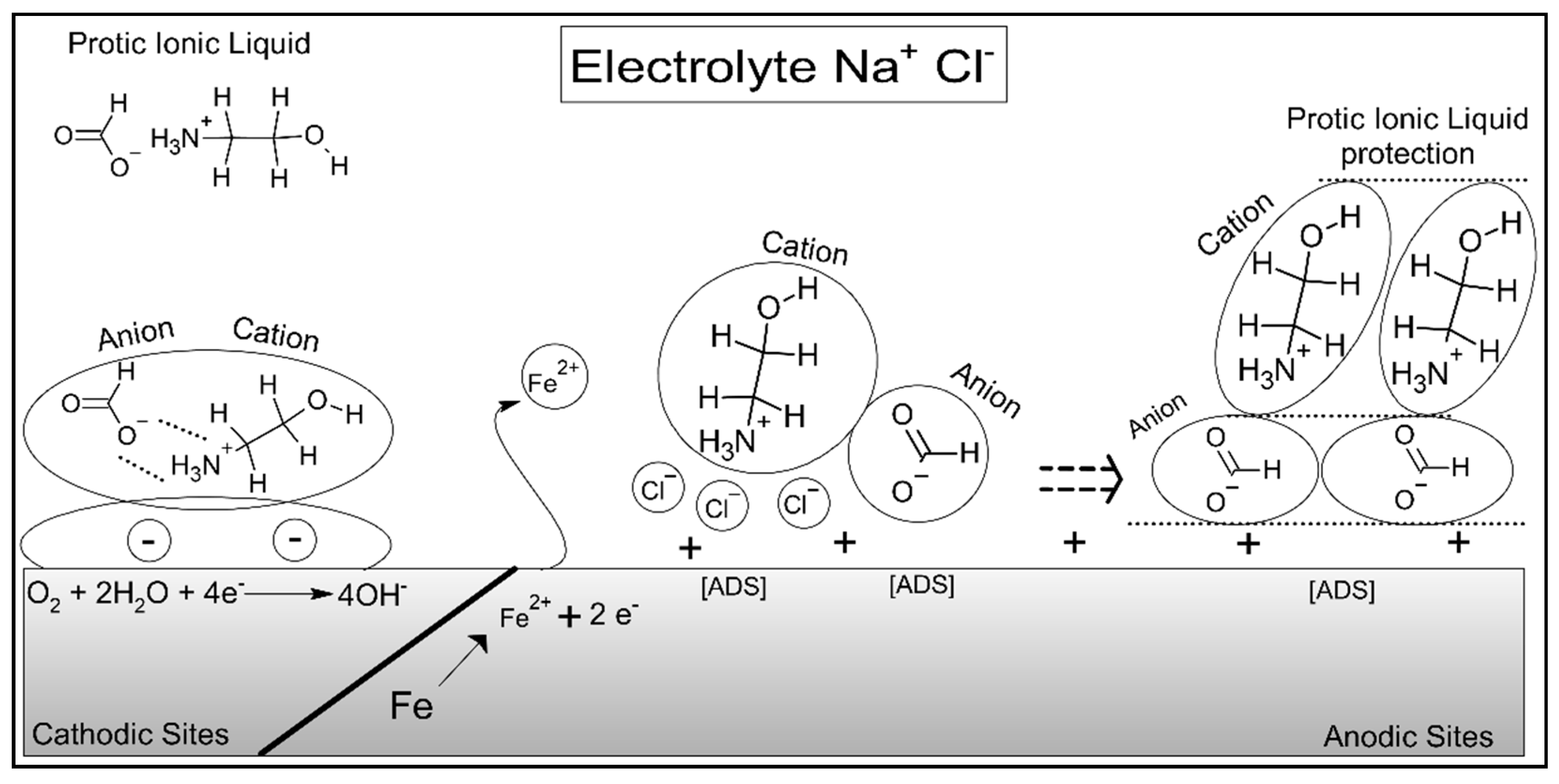 Molecules 30 01033 g012 Molecules 30 01033 g012
