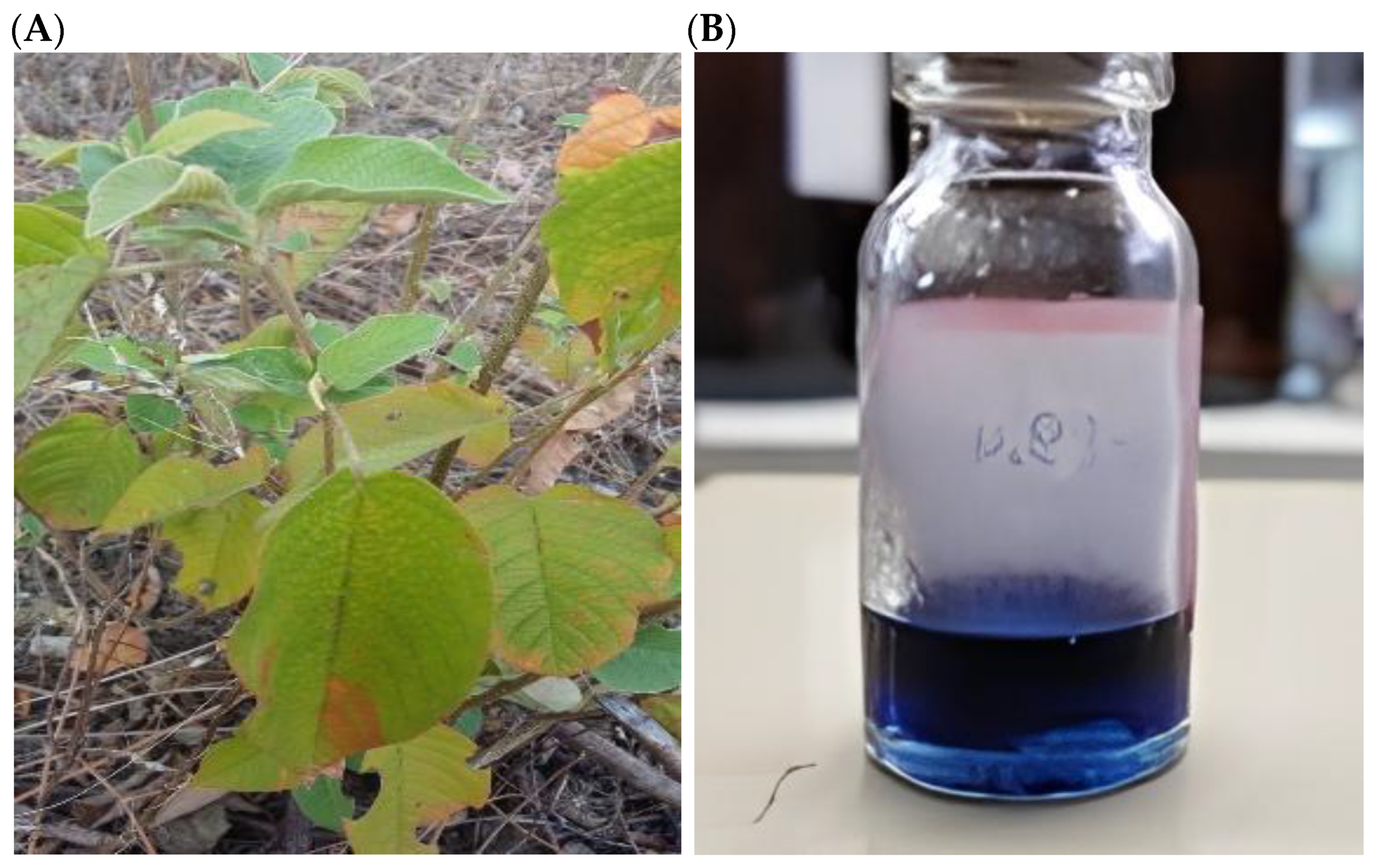 Molecules 30 01034 g001