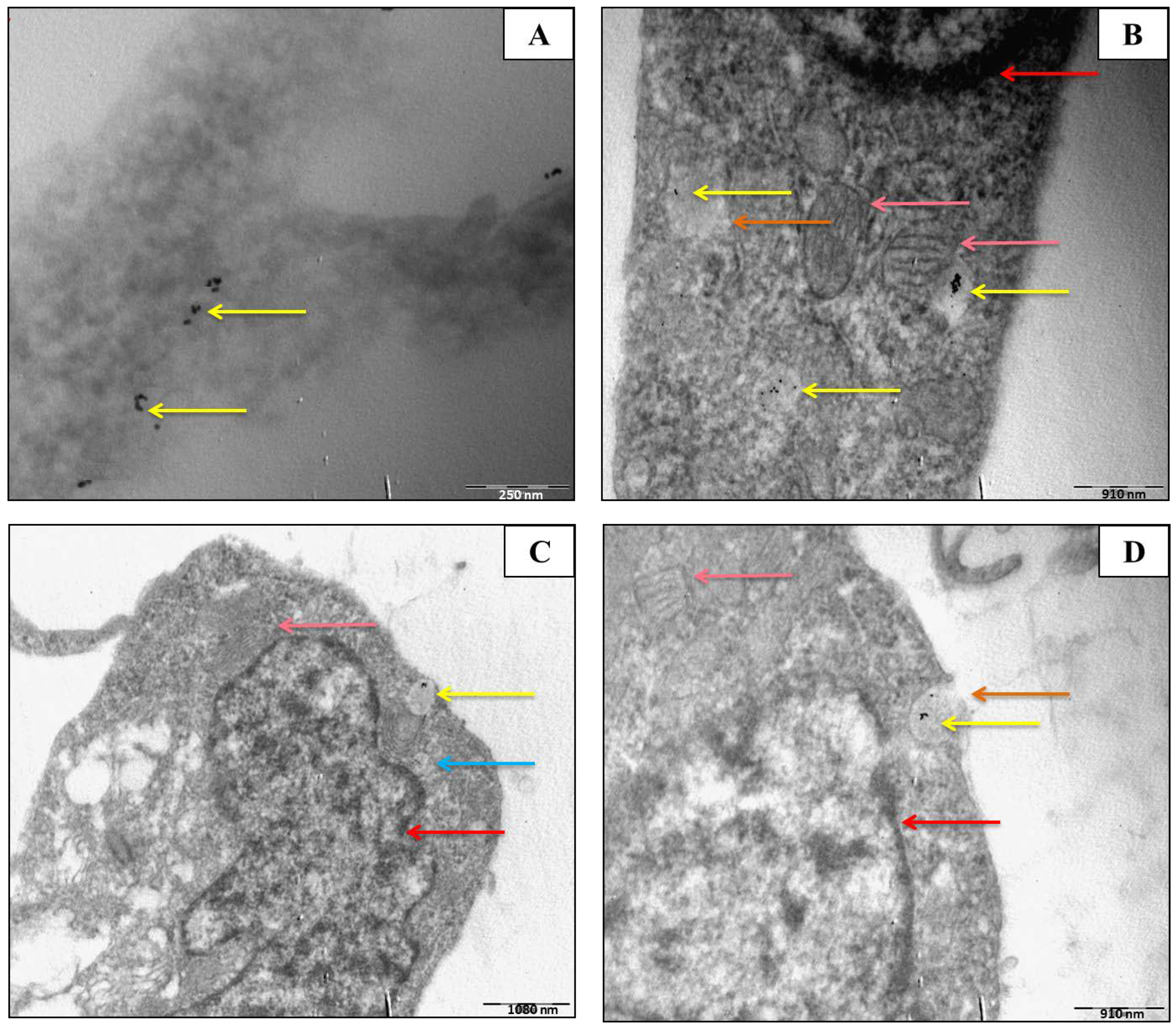 Molecules 30 01038 g001