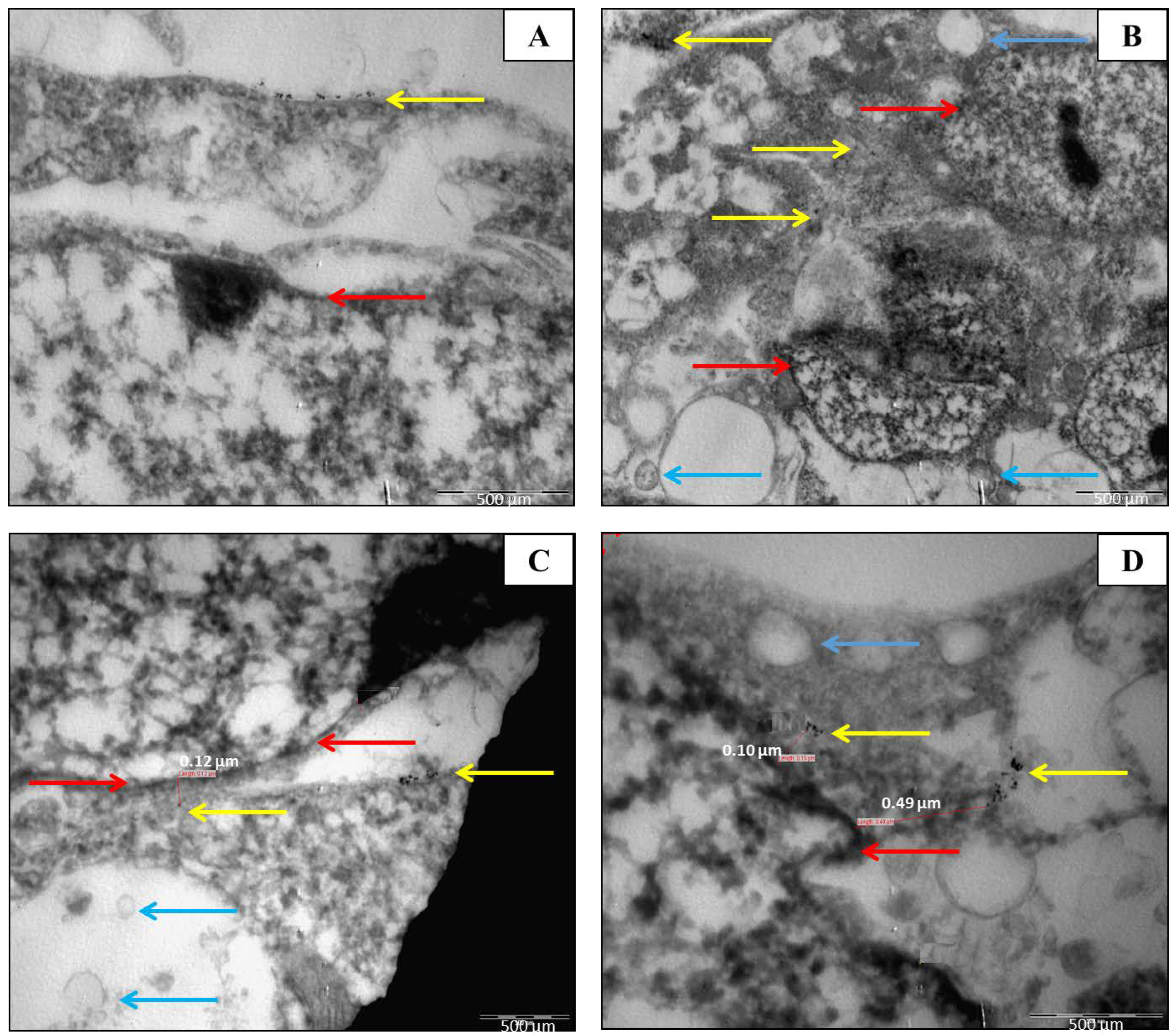 Molecules 30 01038 g002