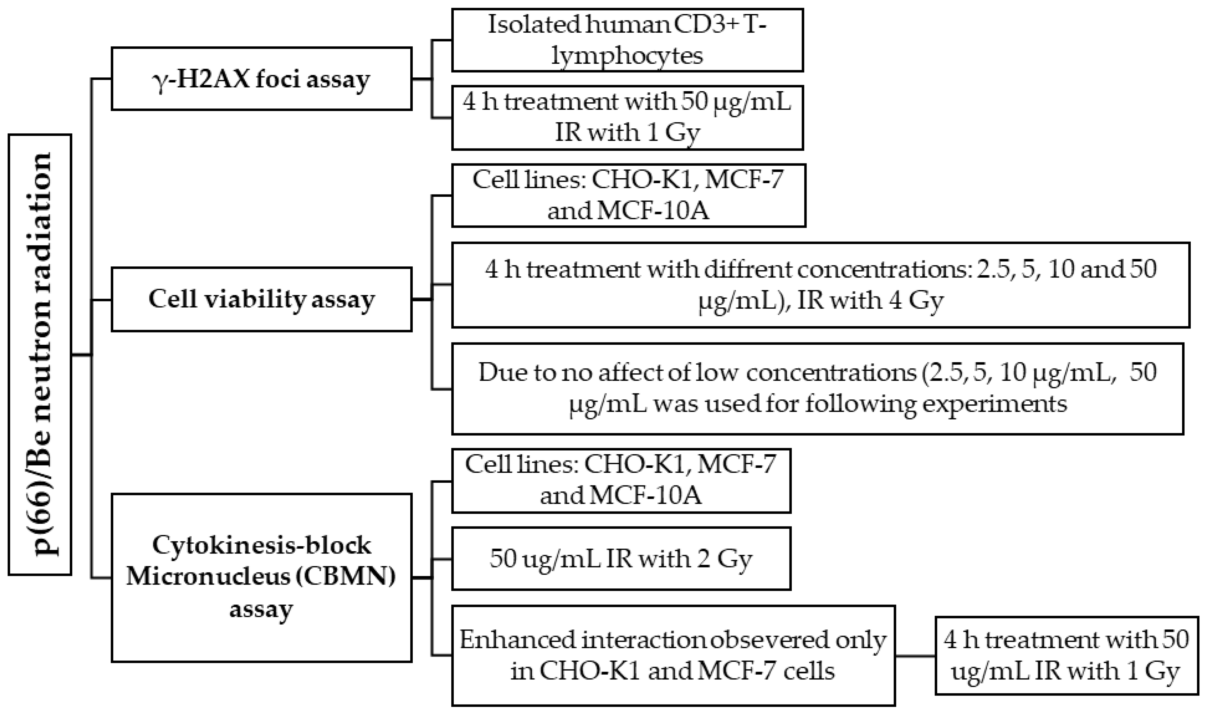 Molecules 30 01038 g012