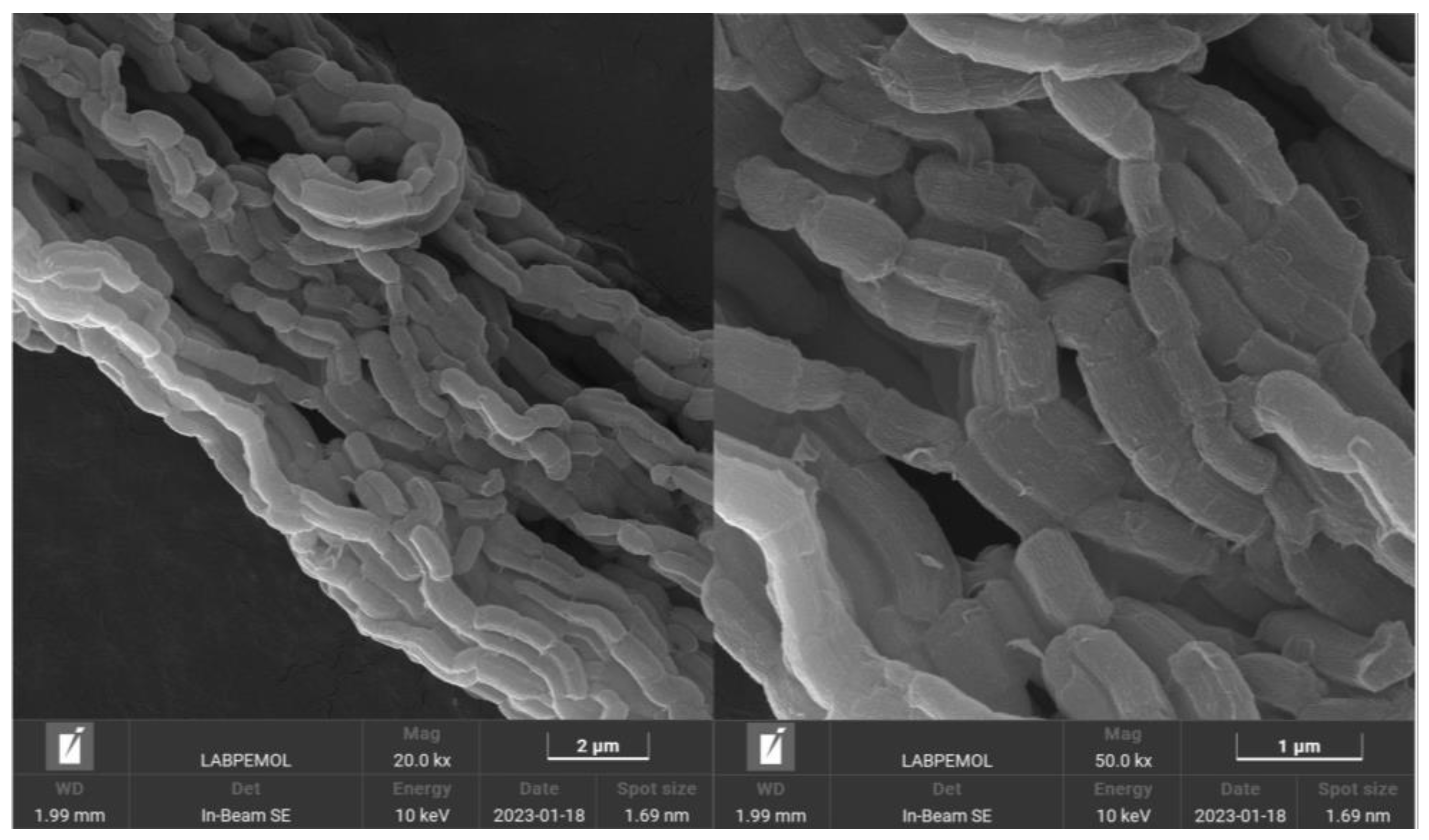 Molecules 30 01040 g003