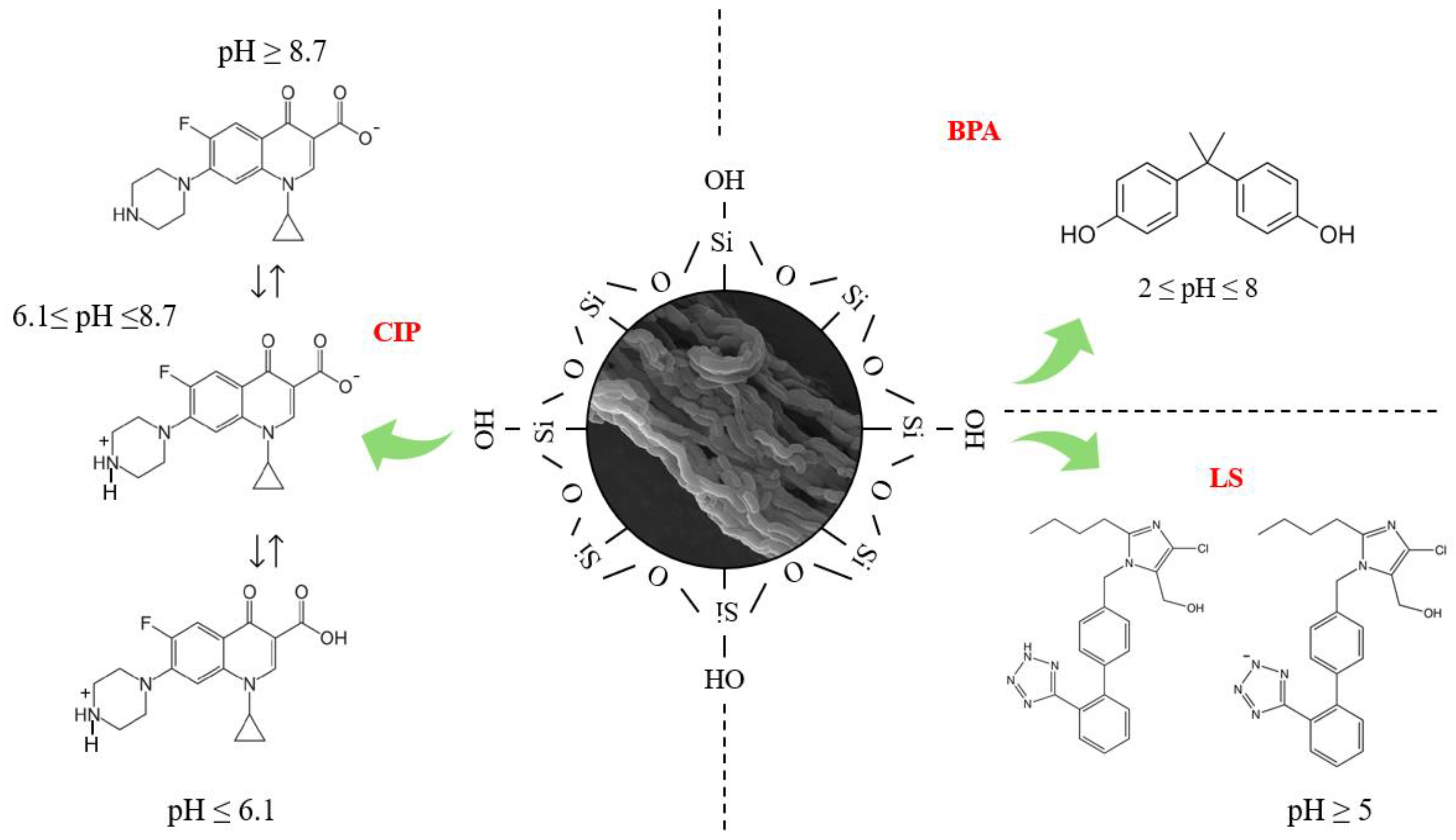Molecules 30 01040 g005