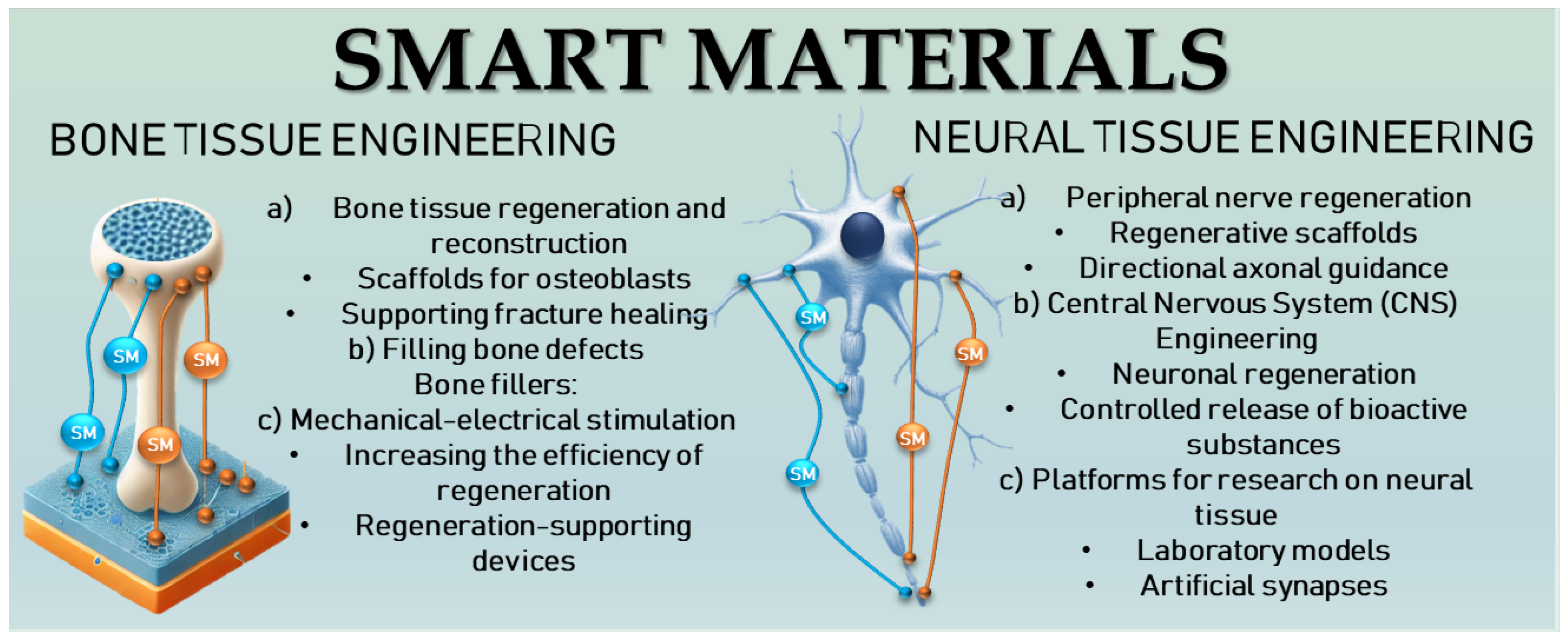 Molecules 30 01041 g001