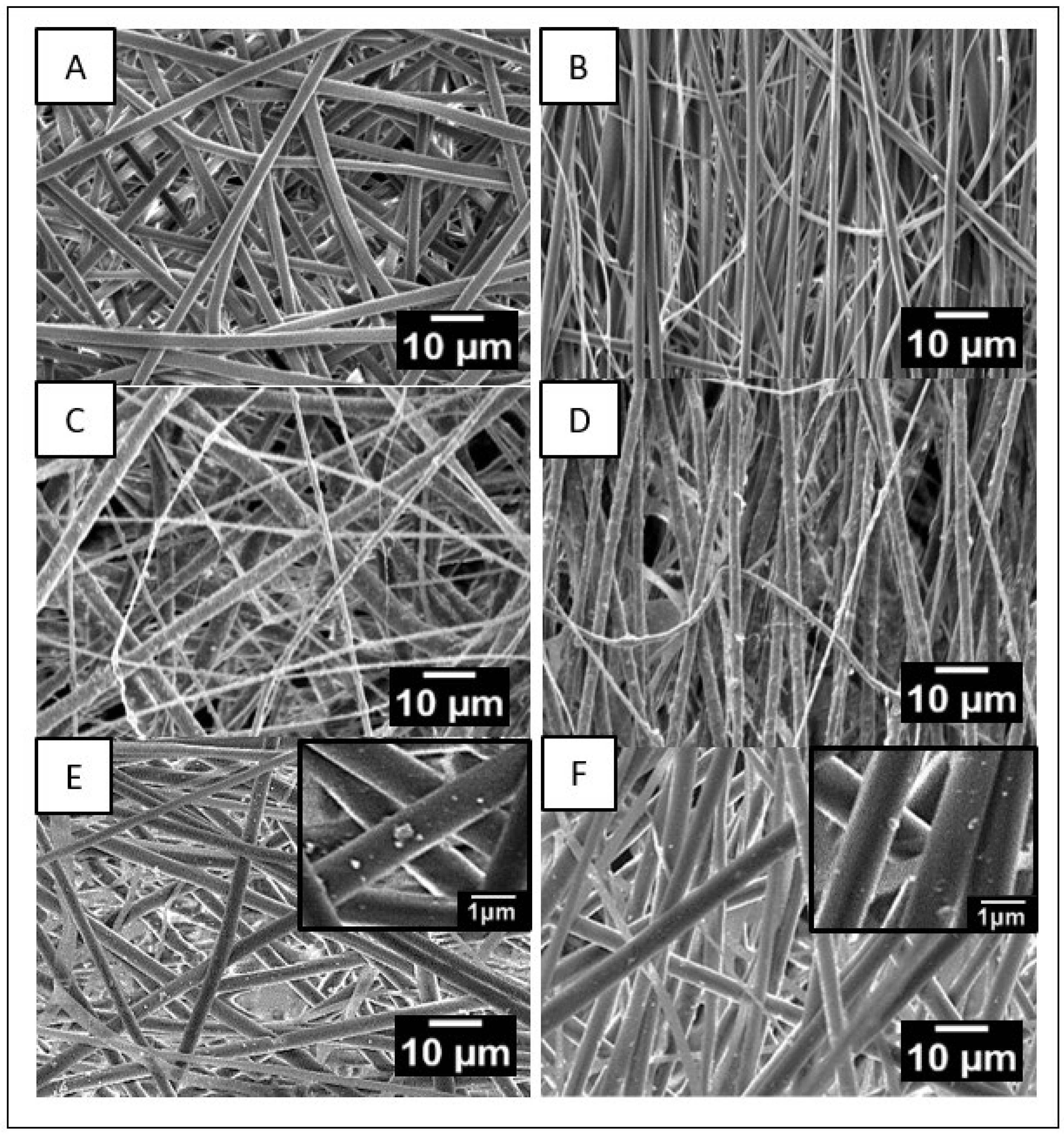 Molecules 30 01041 g002