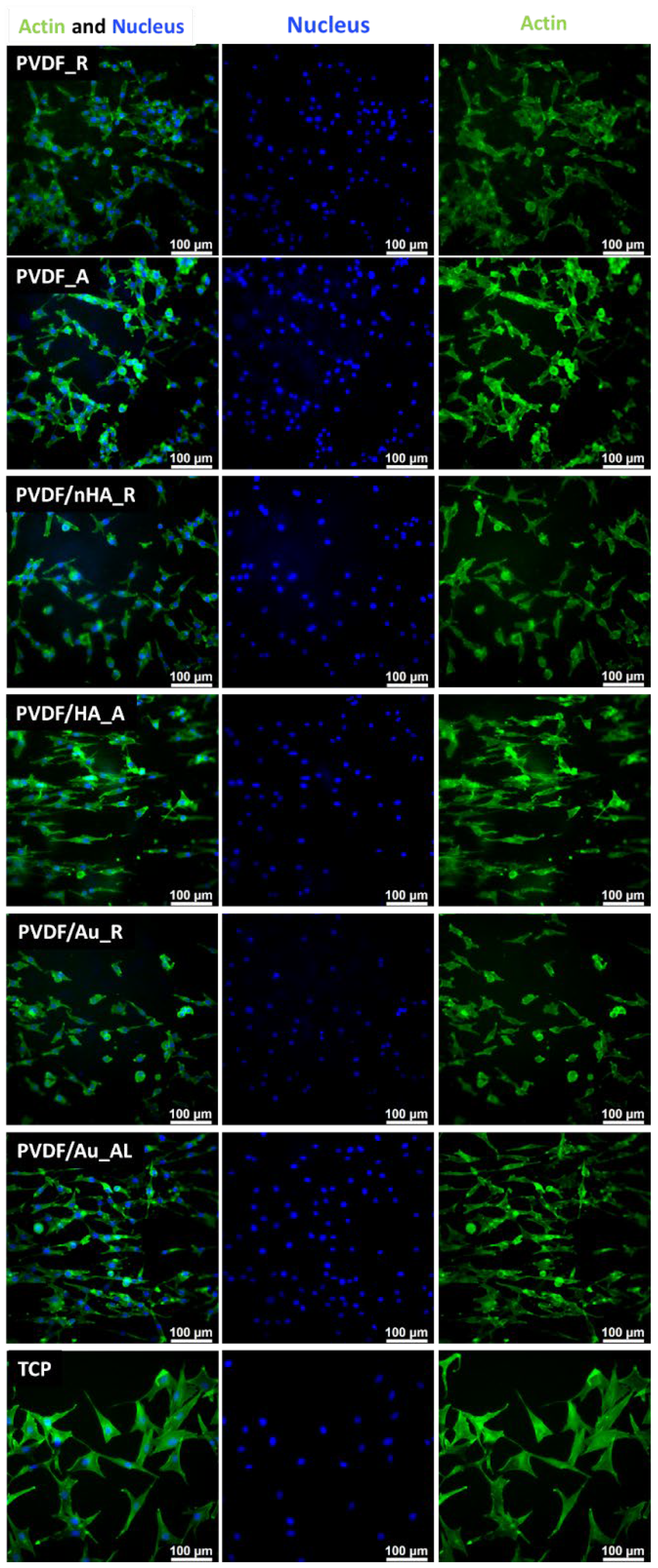 Molecules 30 01041 g017